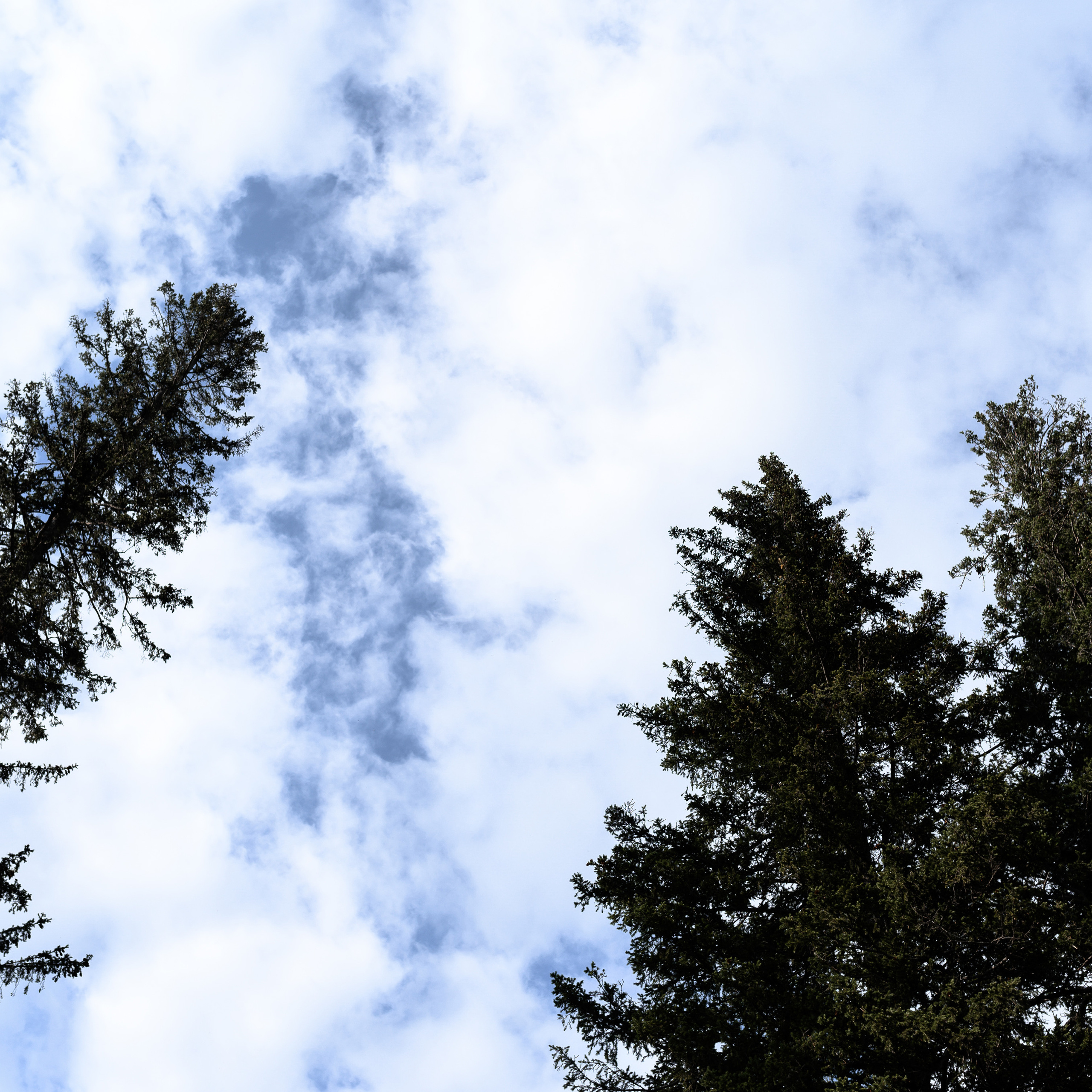 Отзывы. Свадебный и семейный фотограф в Красноярске Виктория Тимонина