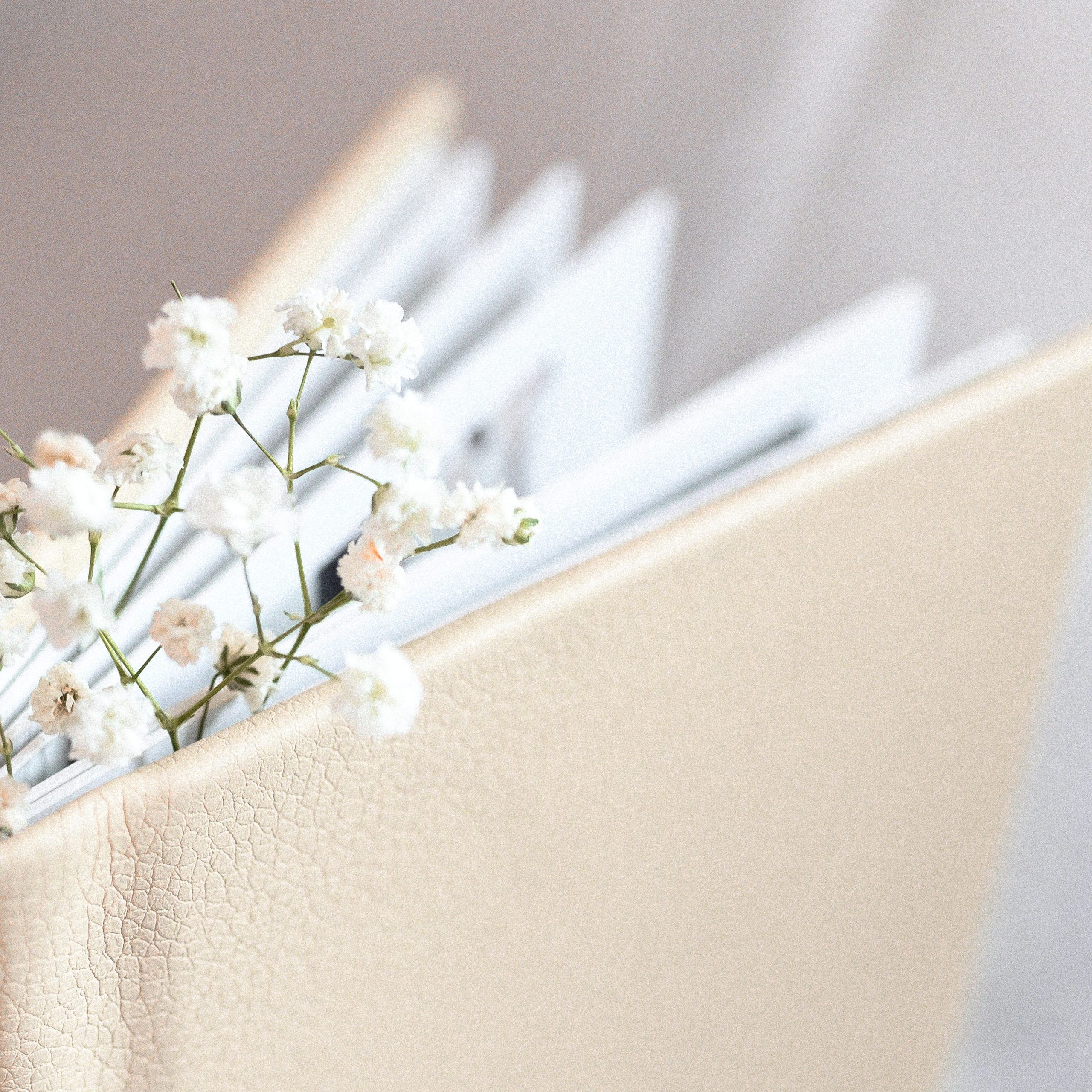 Отзывы. Свадебный и семейный фотограф в Красноярске Виктория Тимонина