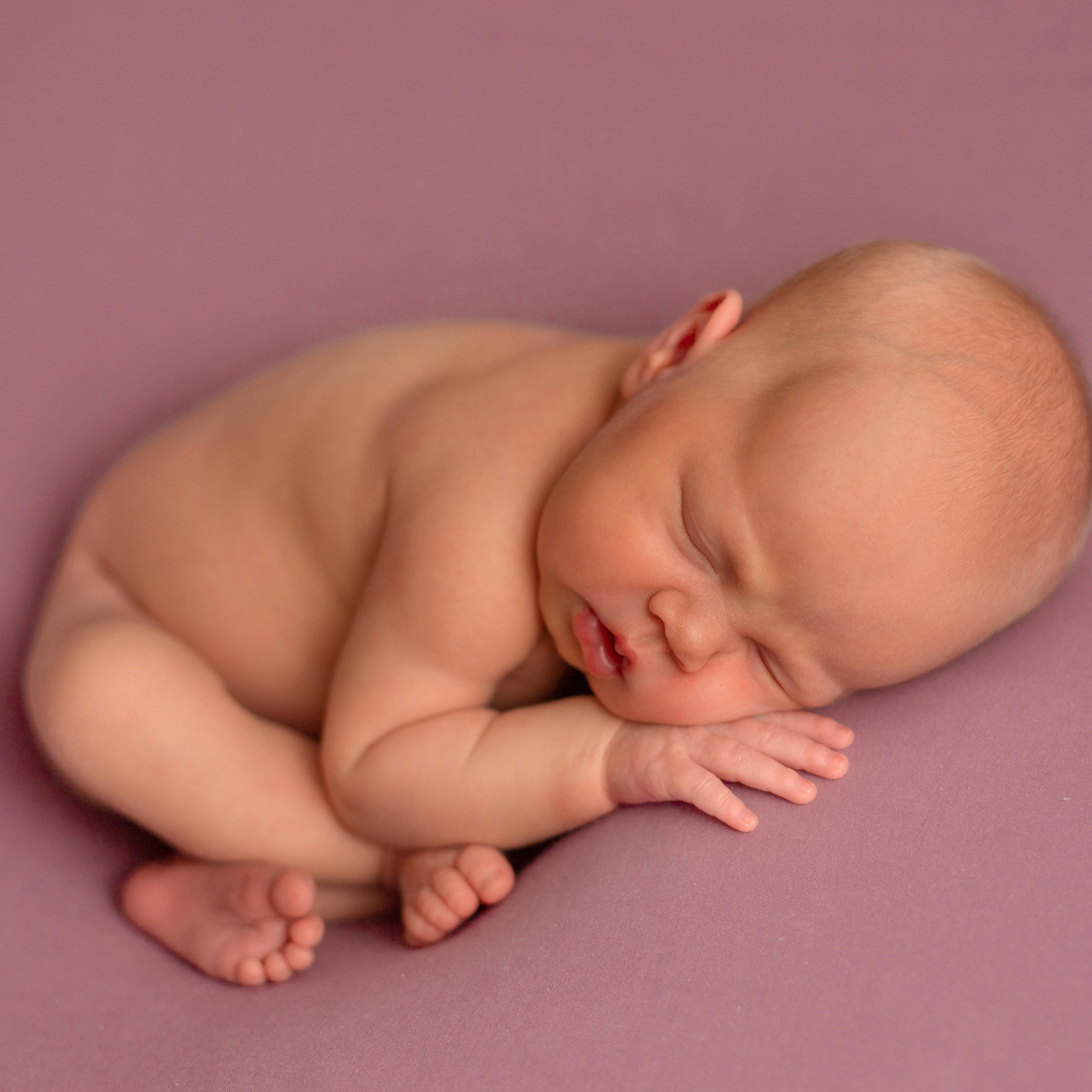 Отзывы. Фотограф в Северском районе| г. Краснодар Алена Заливчая