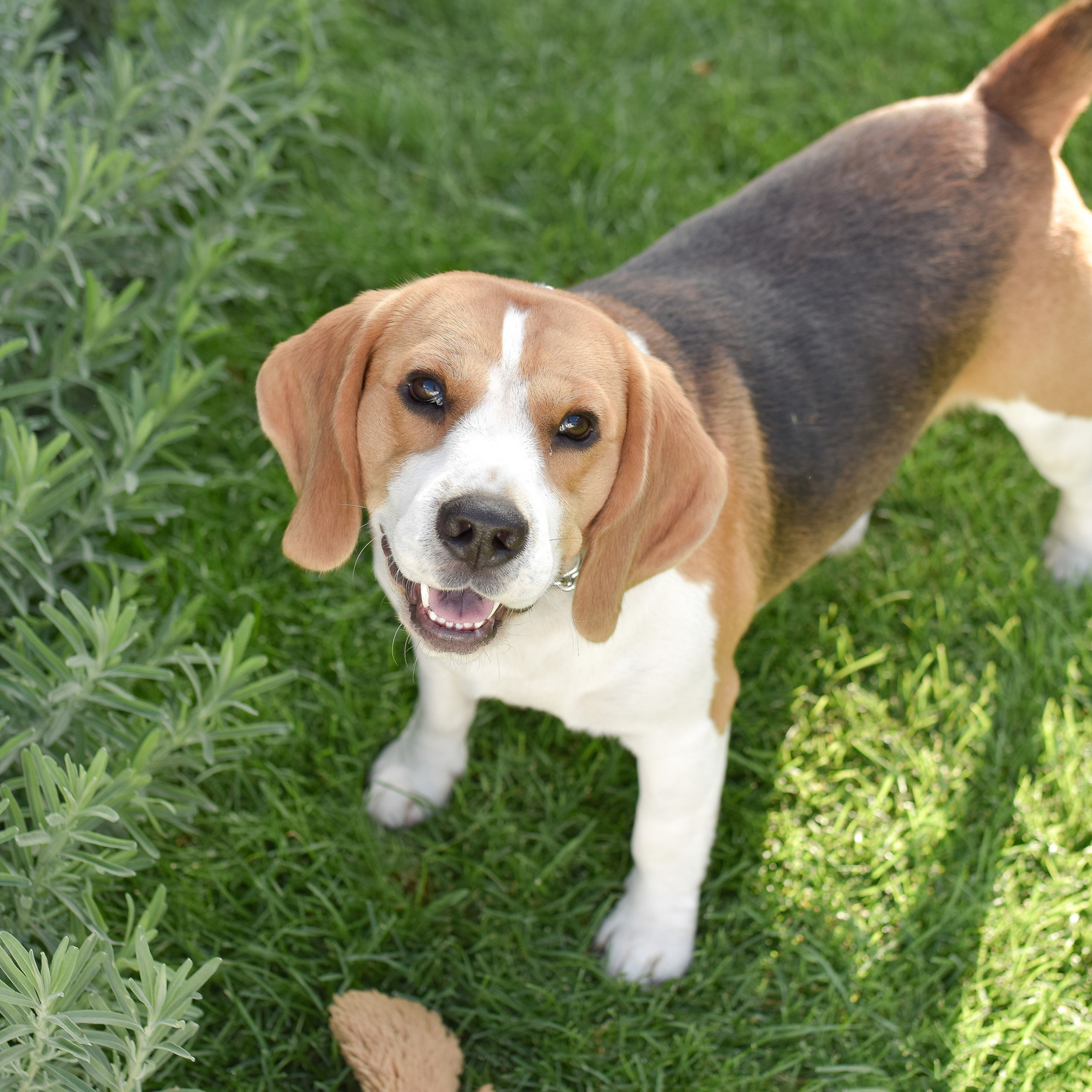 ОТЗЫВЫ. Фотограф в Ялте Инна Найден. Детский и семейный фотограф