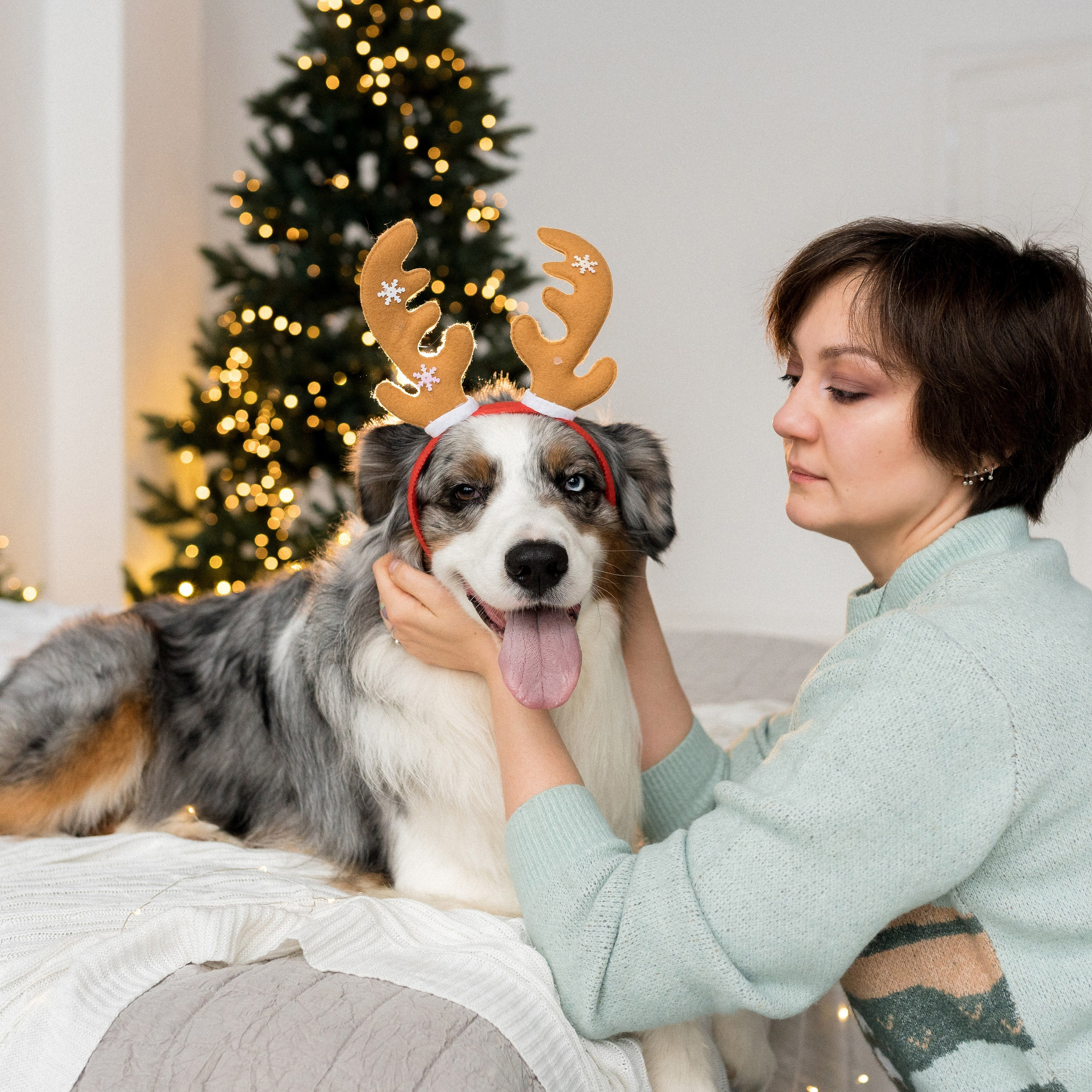 Новогоднее студия