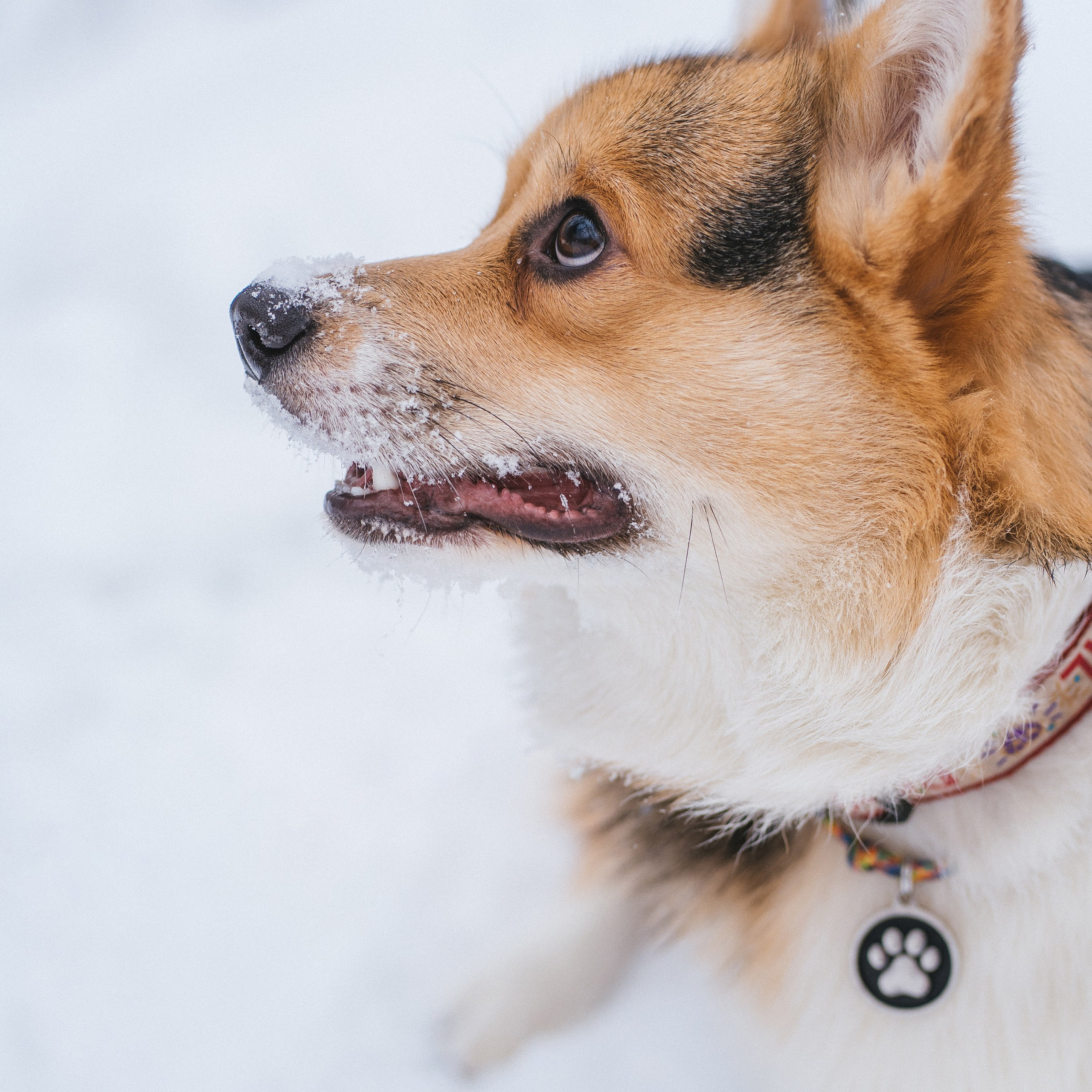 Каспер и Полина