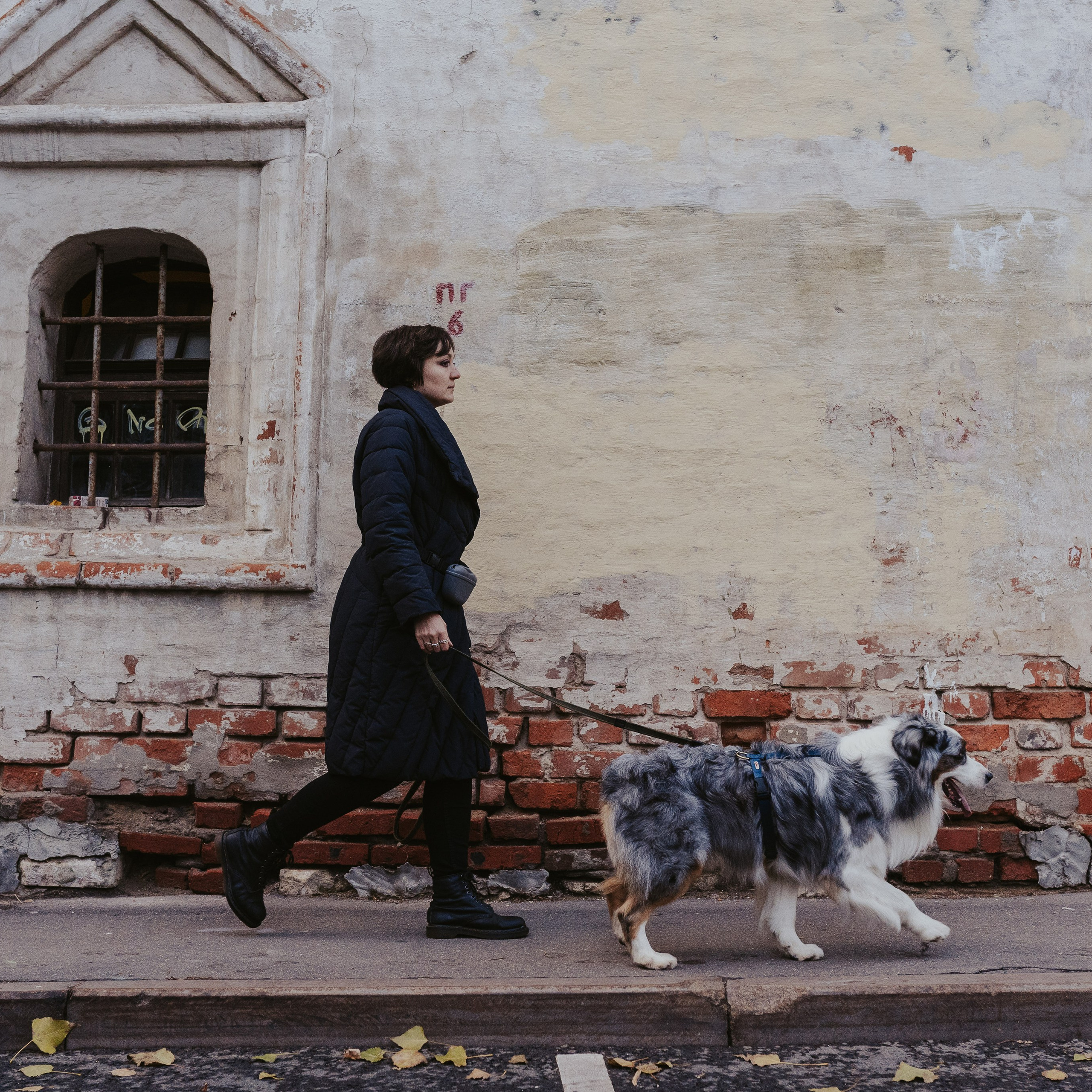 Лена и Принц, Китай- Город