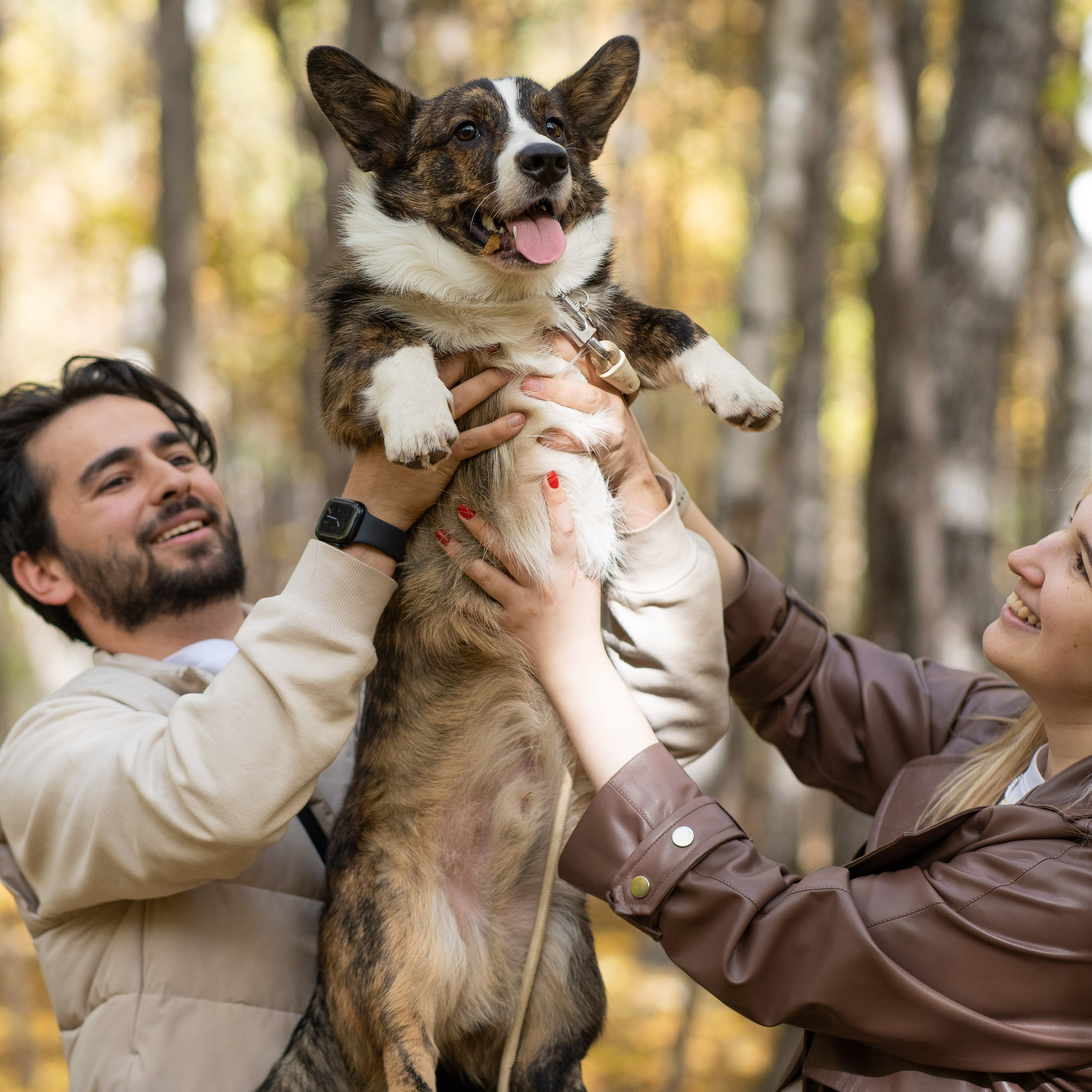 Боря, Даша и Маффин