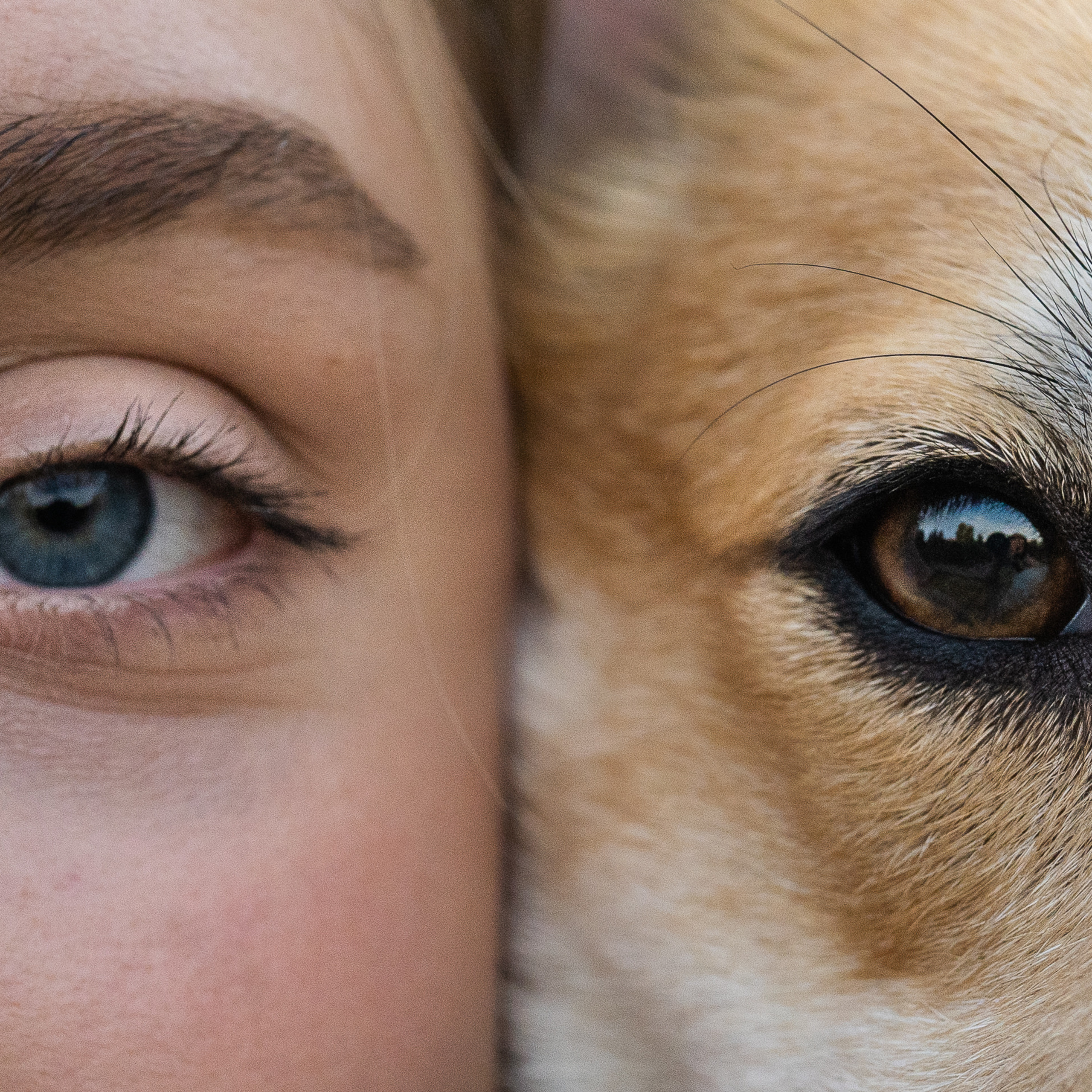 Катя и Боря, Джамгаровский парк