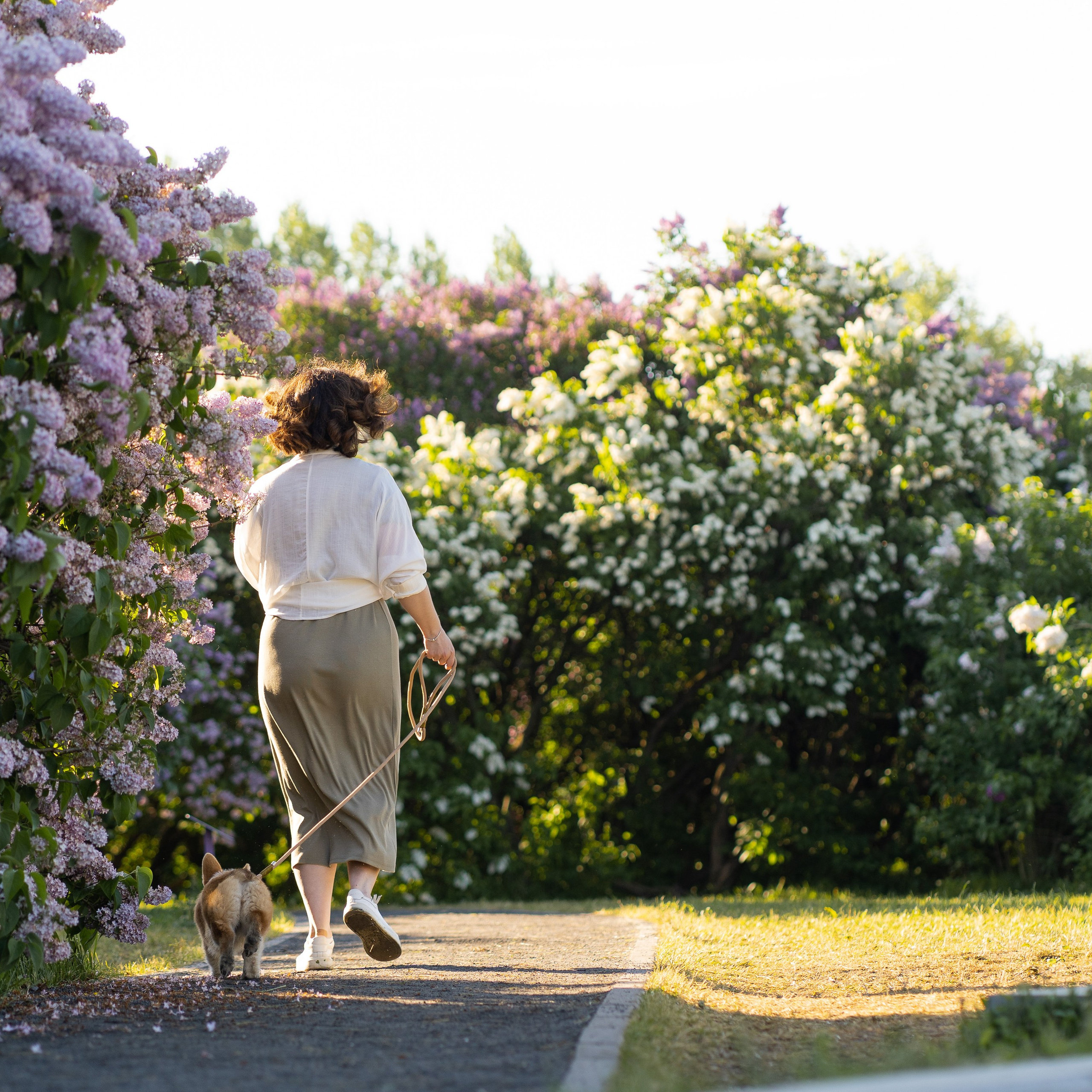 Полина и Стеша, Сиреневый сад