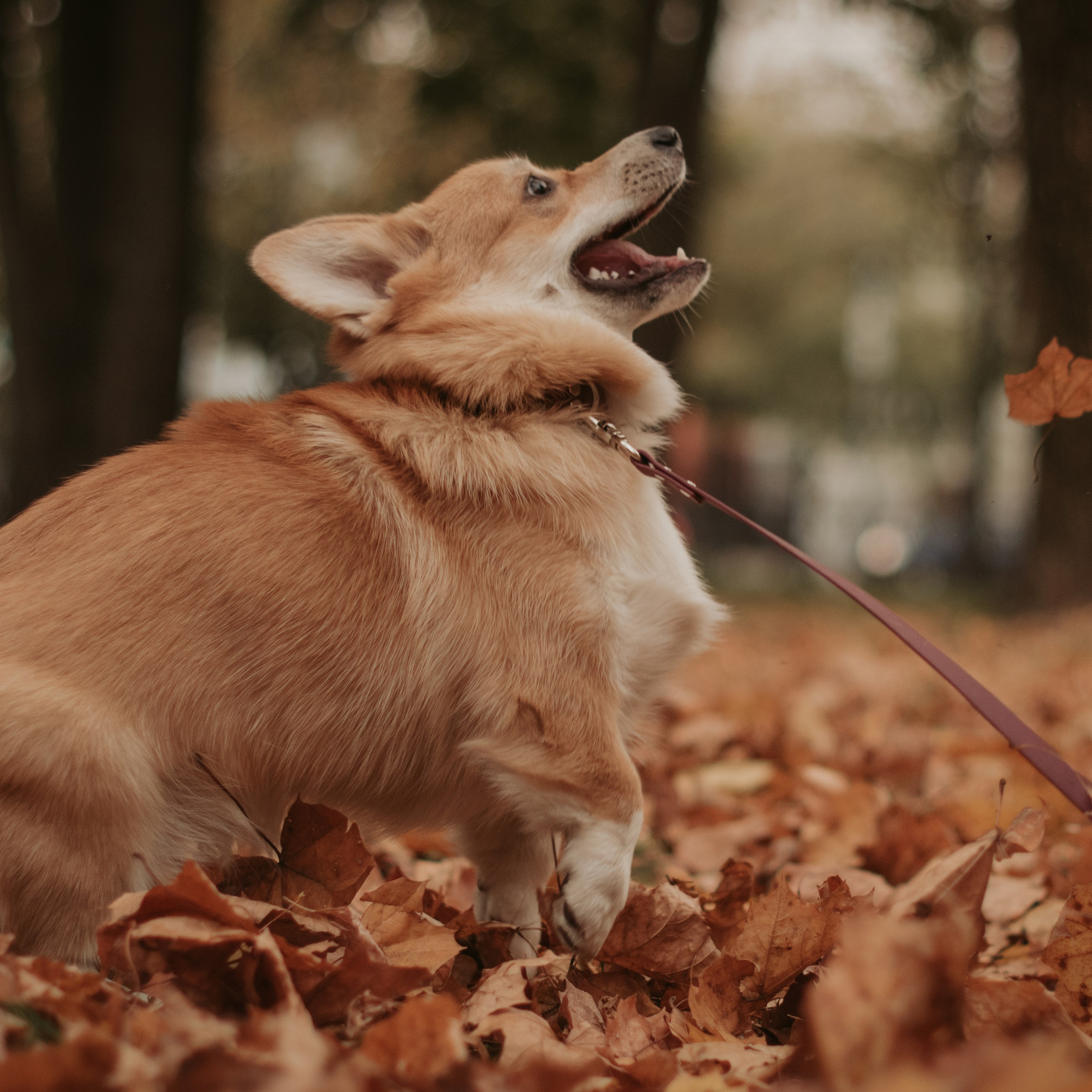 Марина и Мася, Новодевичий сквер
