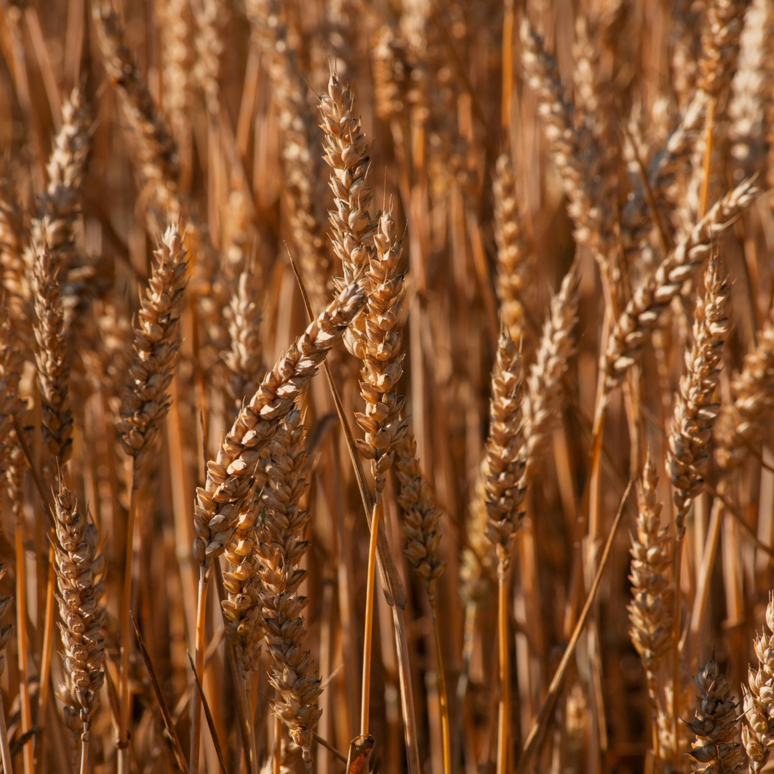 Отзывы. Фотограф Екатерина Черноуцкая