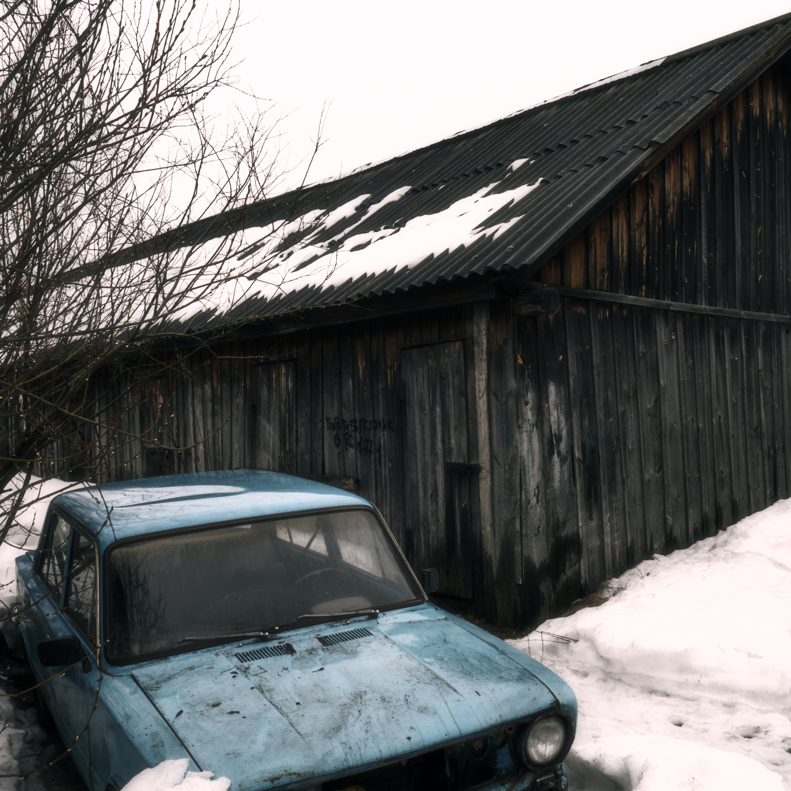 дуальность восприятия