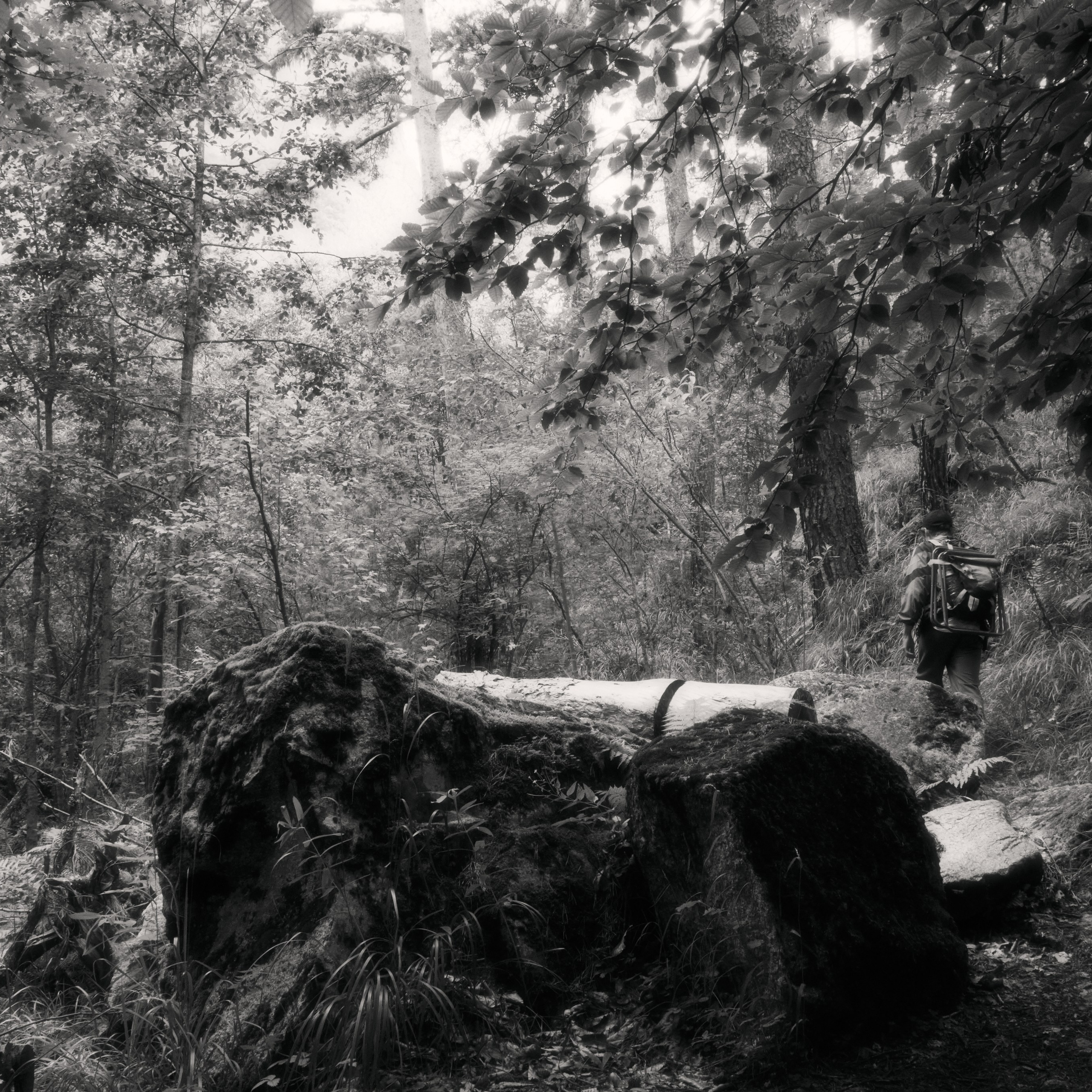 иллюзорная реальность