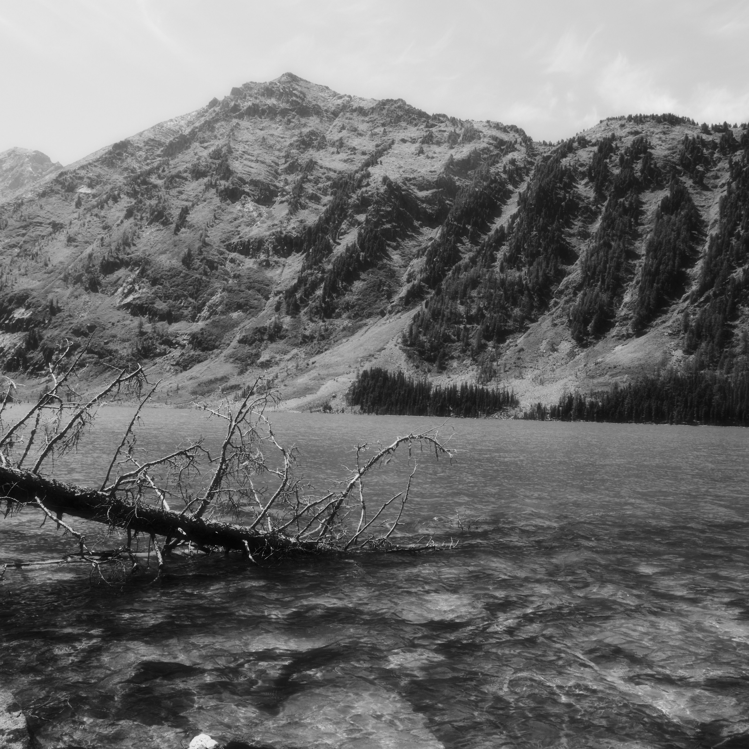 «50.005 659, 85.831 007»