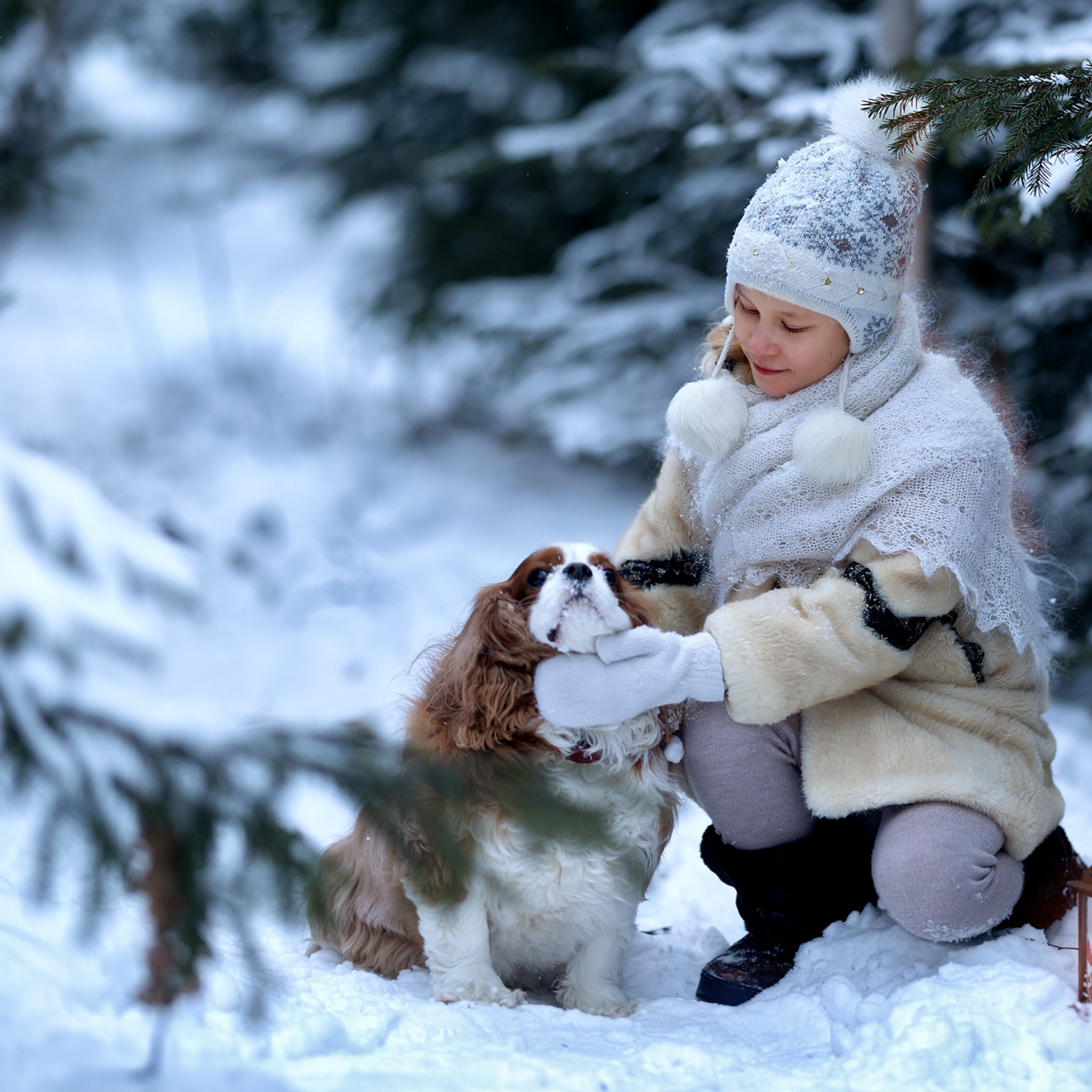 Сказочный Лес