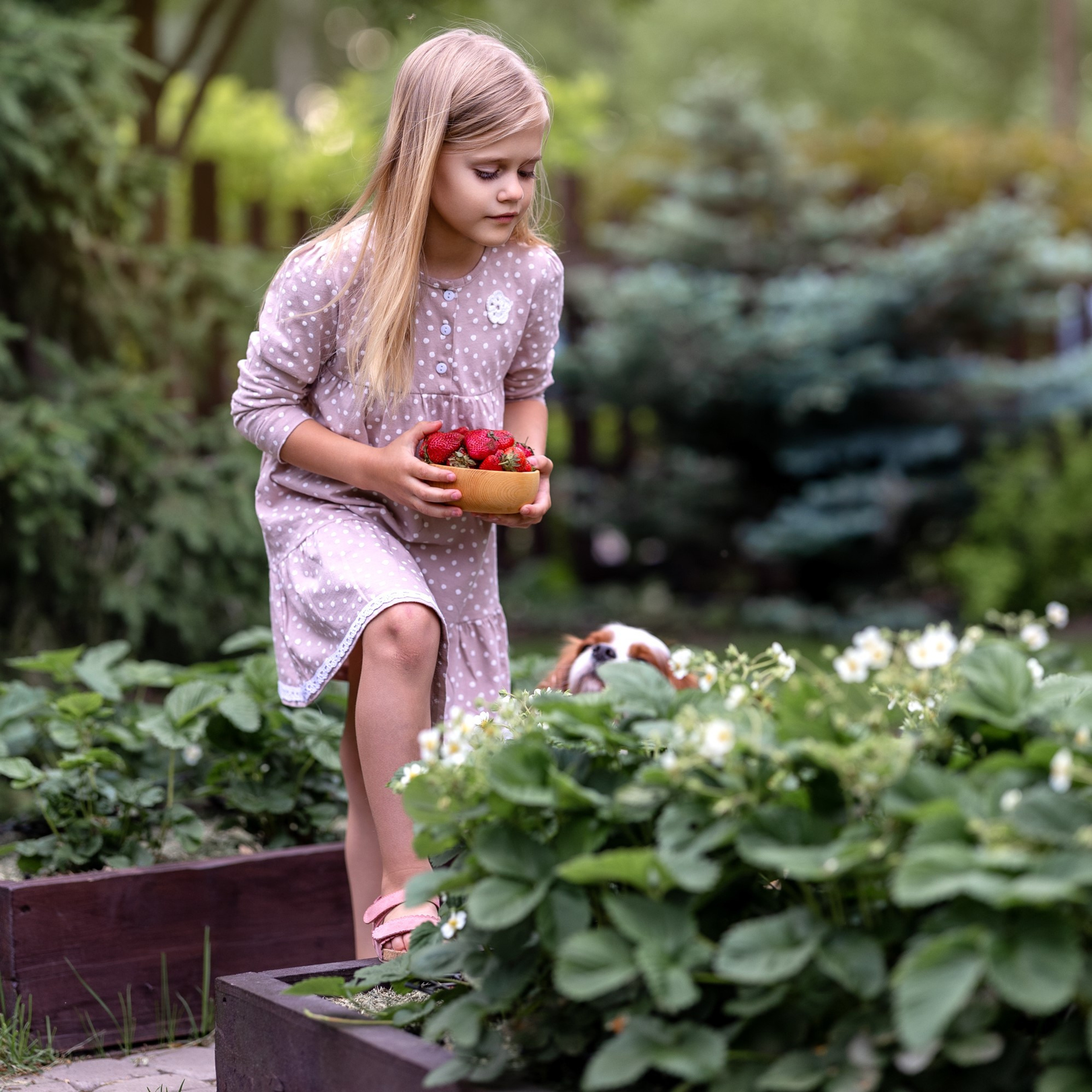 Ягодное Настроение