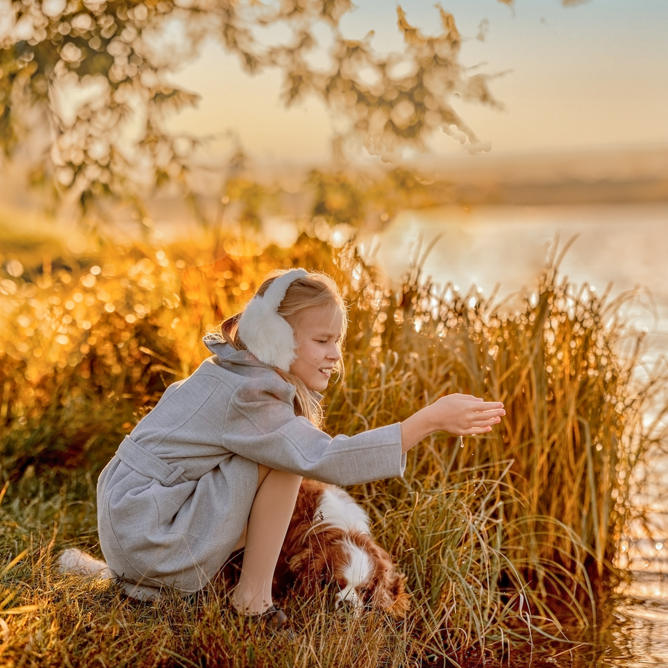 Осенний лес