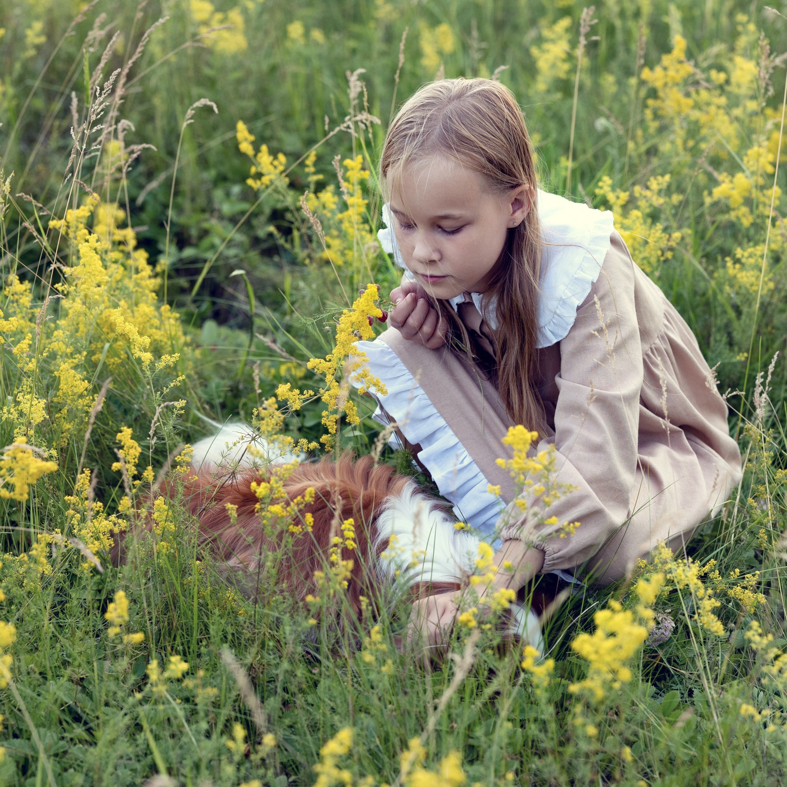 Цветущие поля