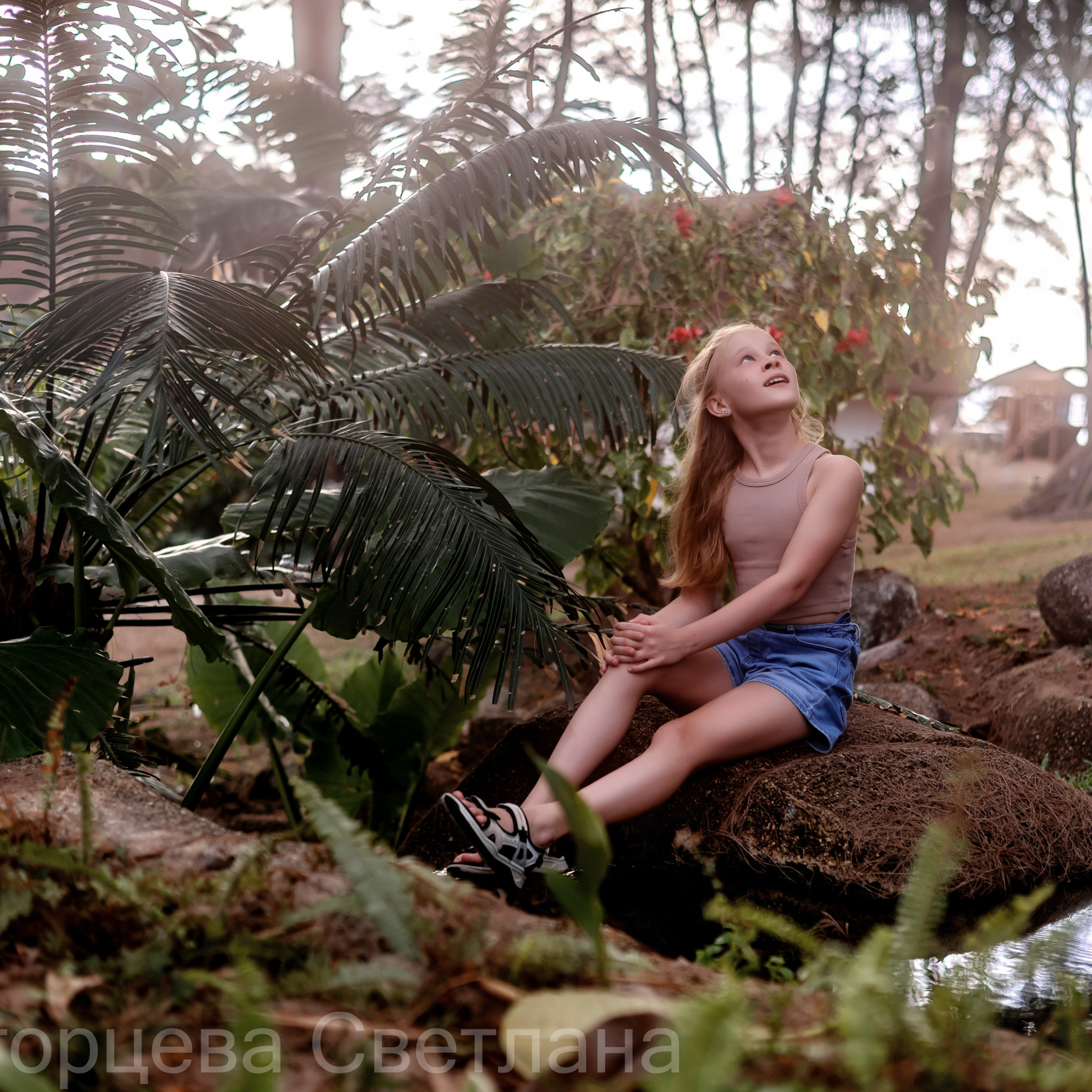 Сказочный лес