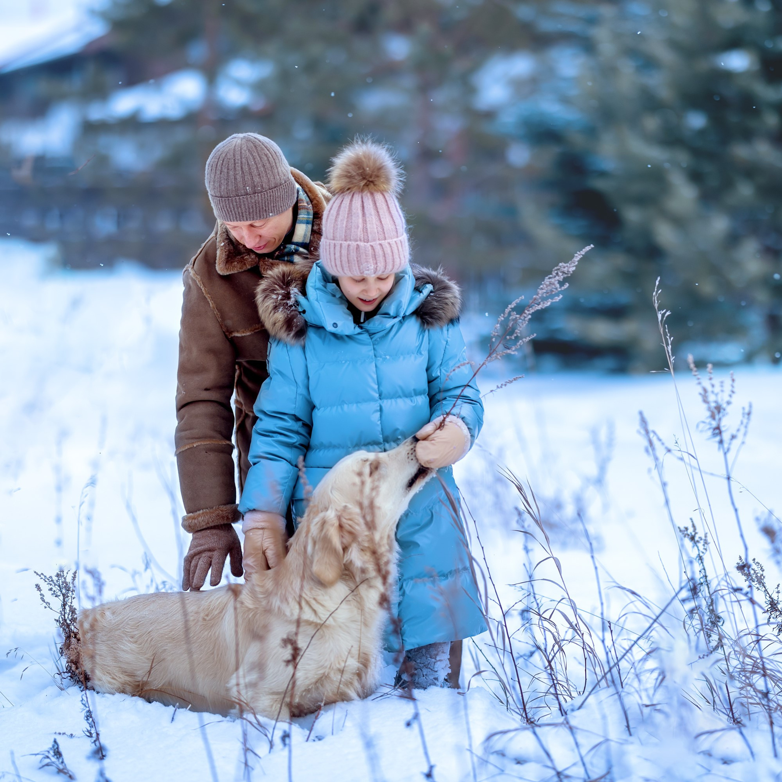 Зимние забавы