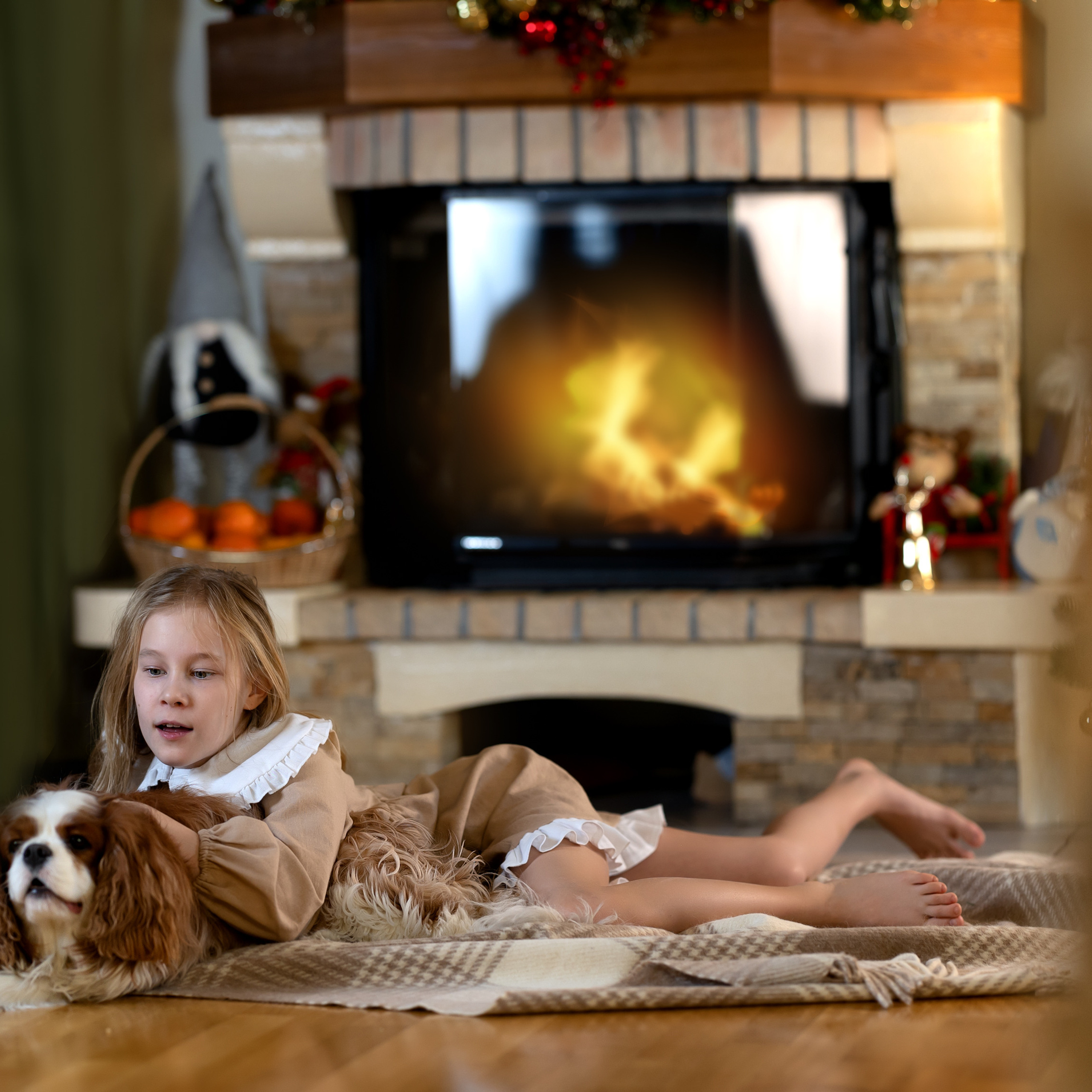 Домашние радости