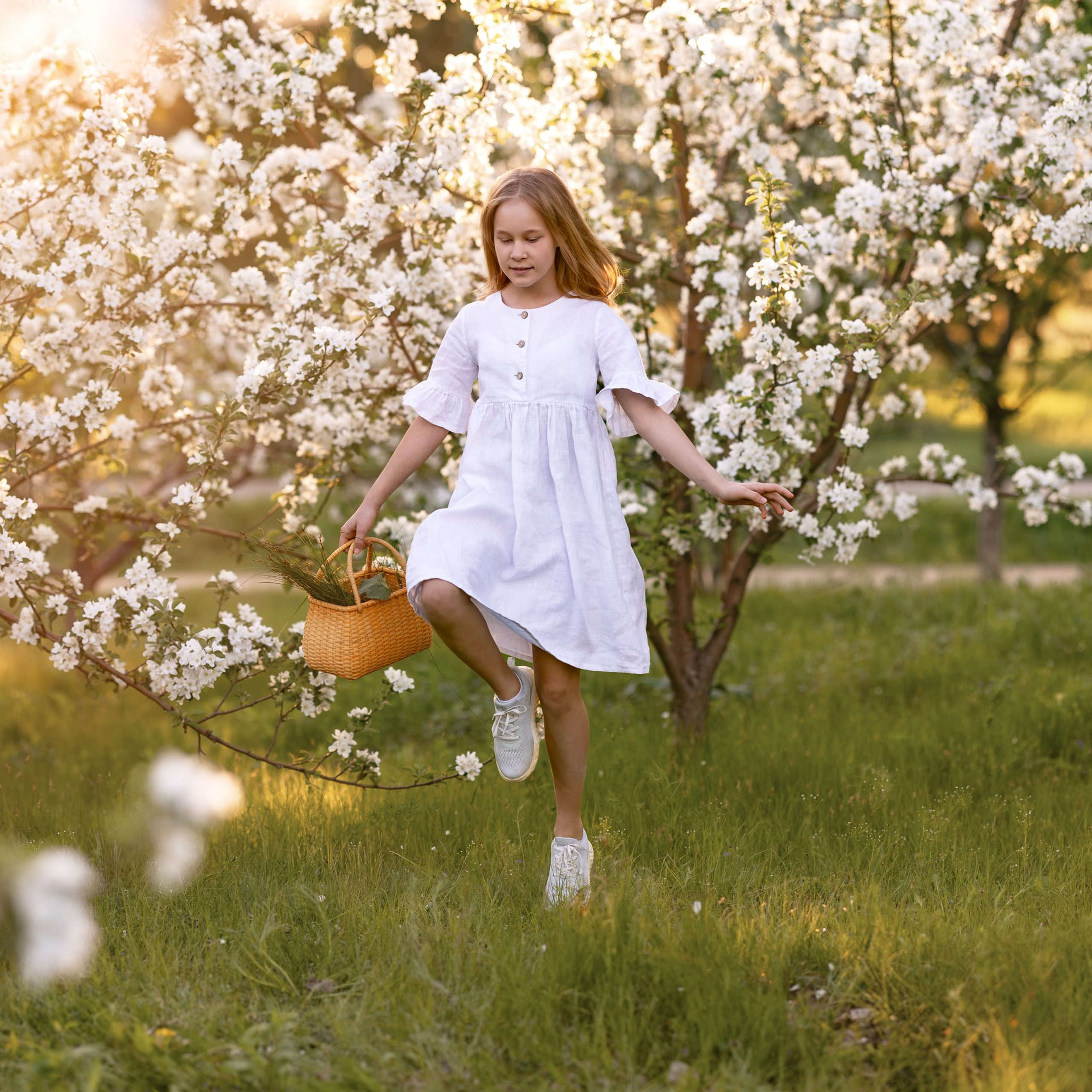 Яблоневый сад