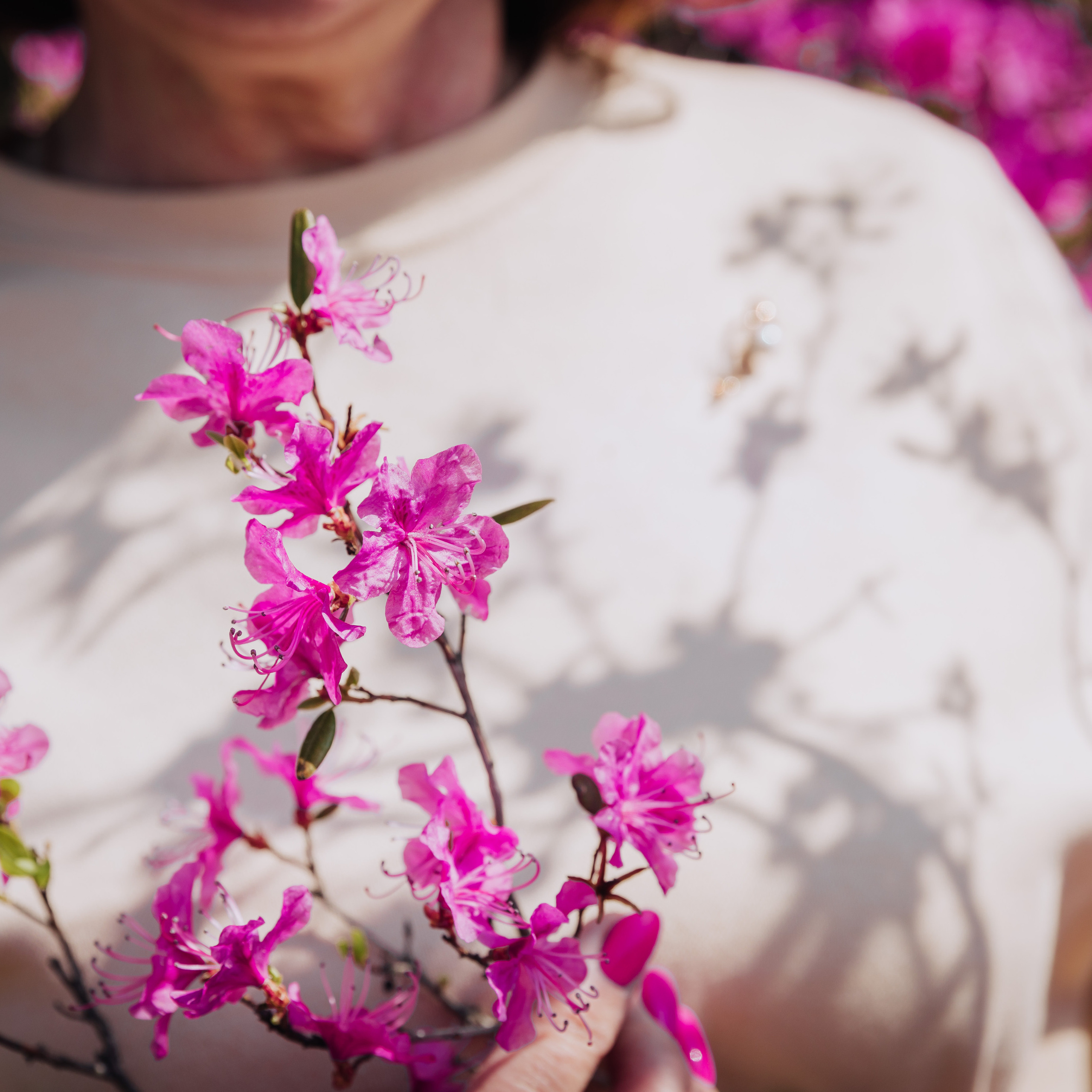 Отзывы. Семейный фотограф в Чите Татьяна Фирсова