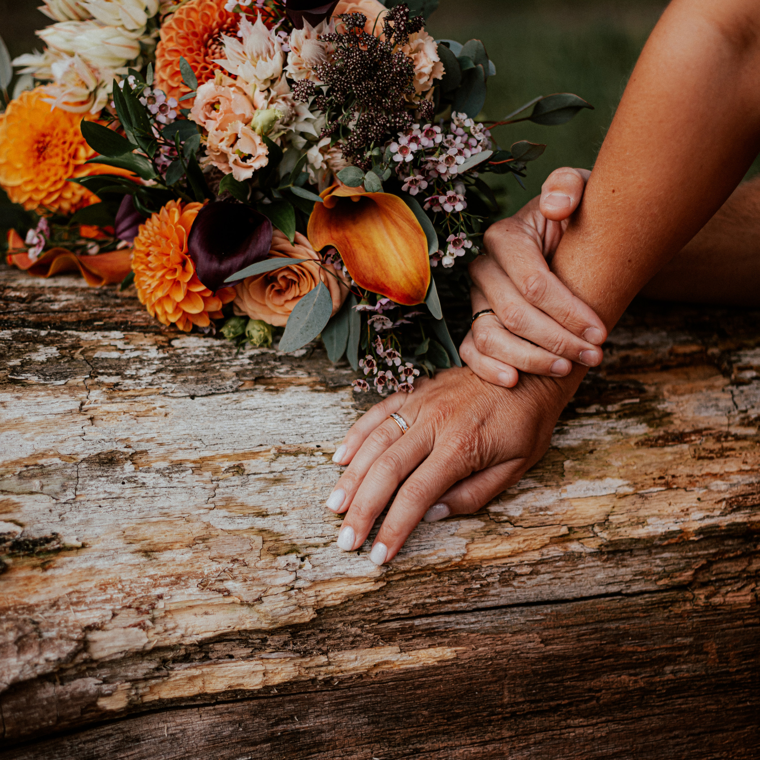 Отзывы. Главная