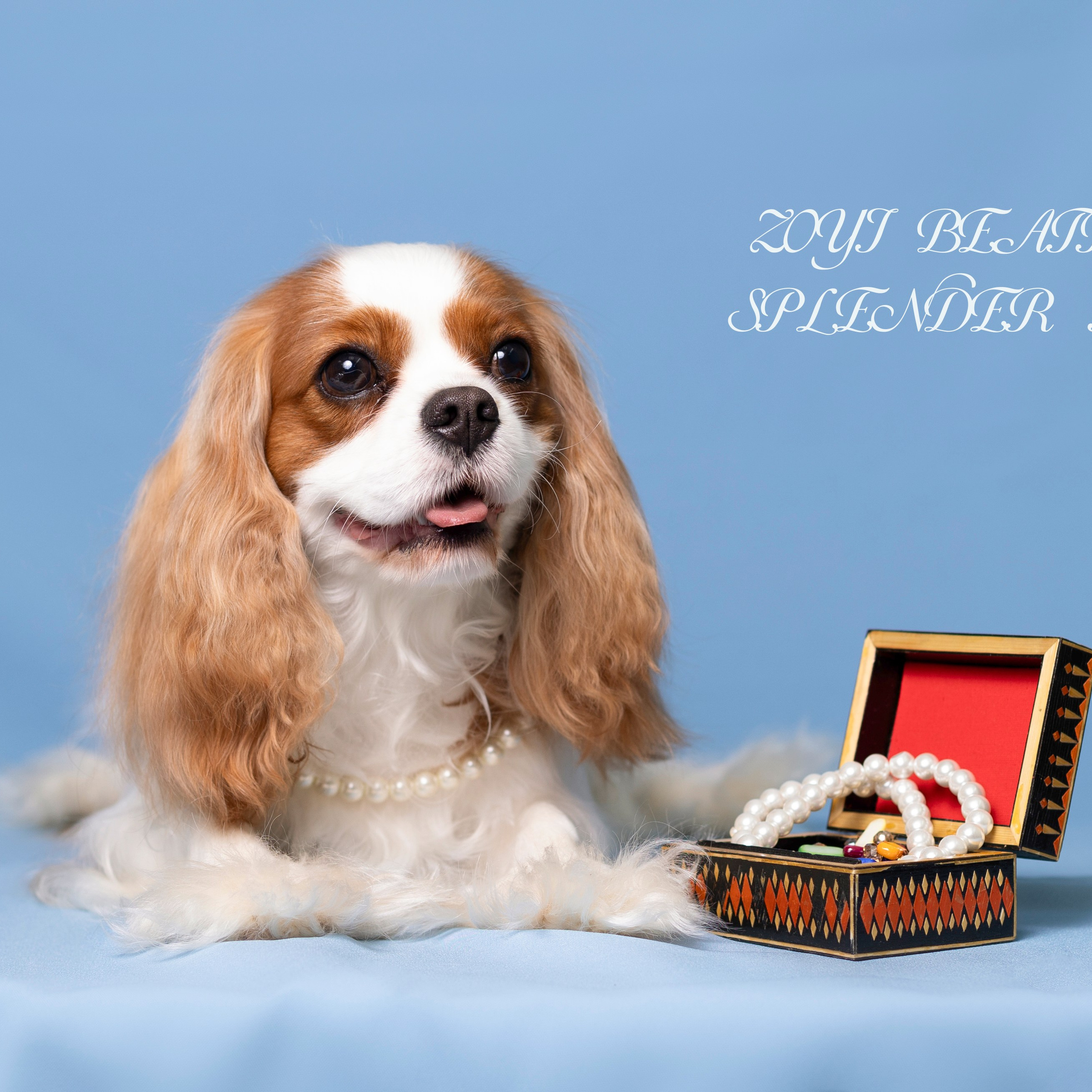 Фотосессия Бетти!