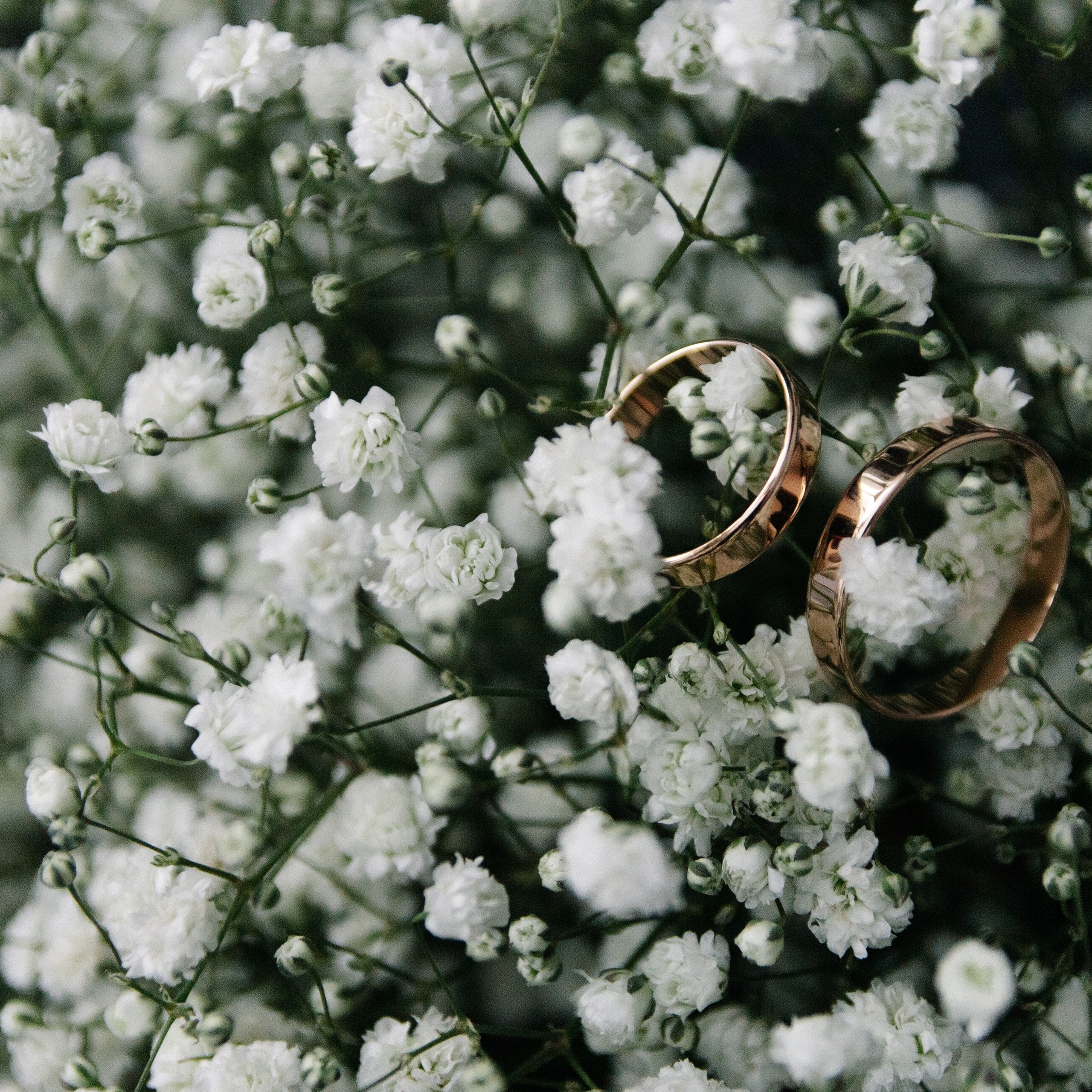 Дима и Саша. Семейный и детский фотограф в Нижнем Новгороде Мичурова Ксения