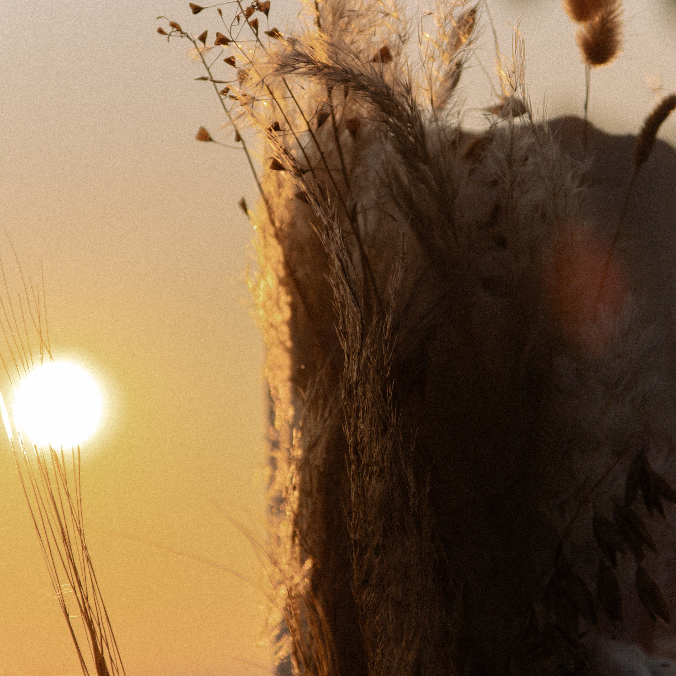 Сергей и Маргарита. Свадьба в стиле Бохо. Семейный и детский фотограф в Нижнем Новгороде Мичурова Ксения