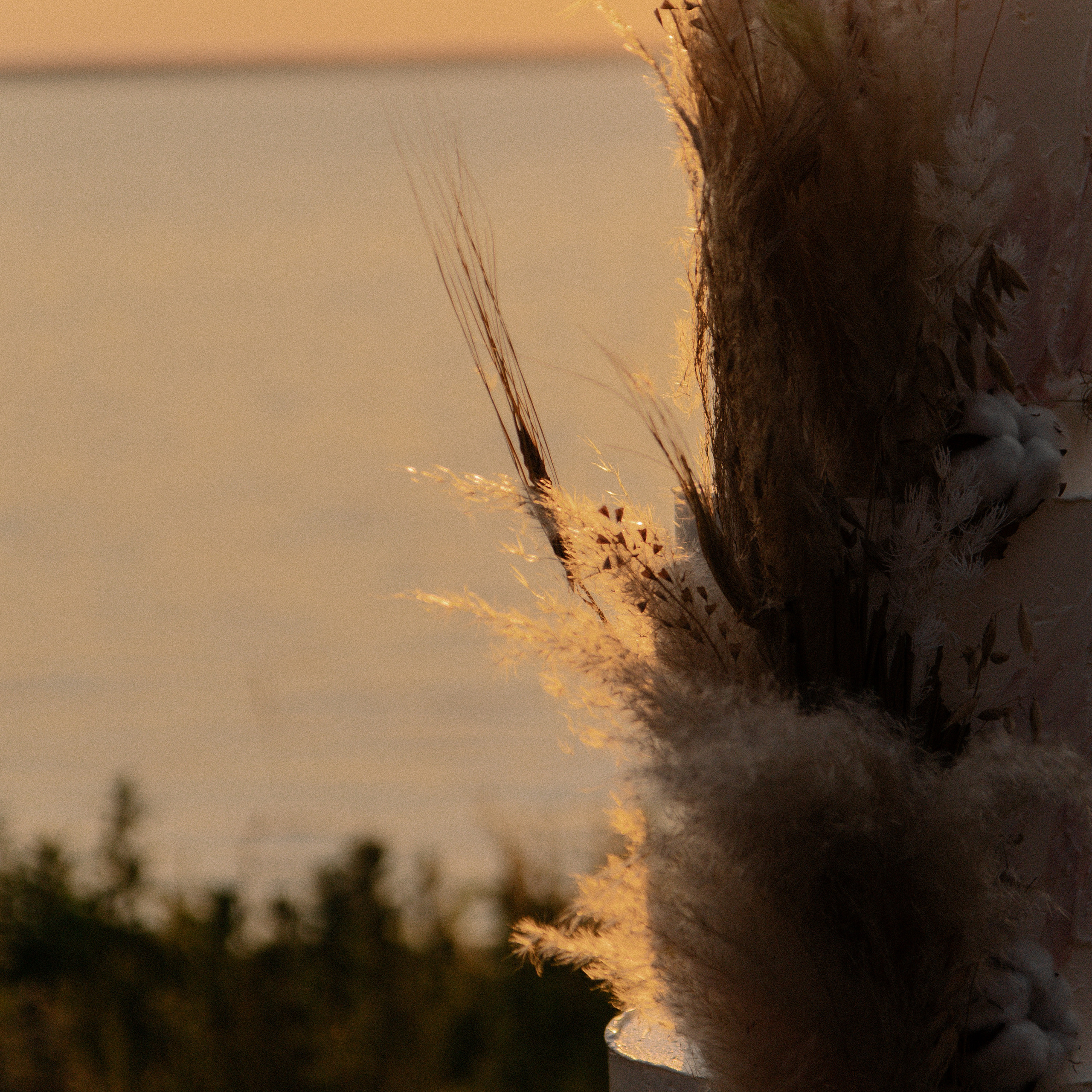 Сергей и Маргарита. Свадьба в стиле Бохо. Семейный и детский фотограф в Нижнем Новгороде Мичурова Ксения