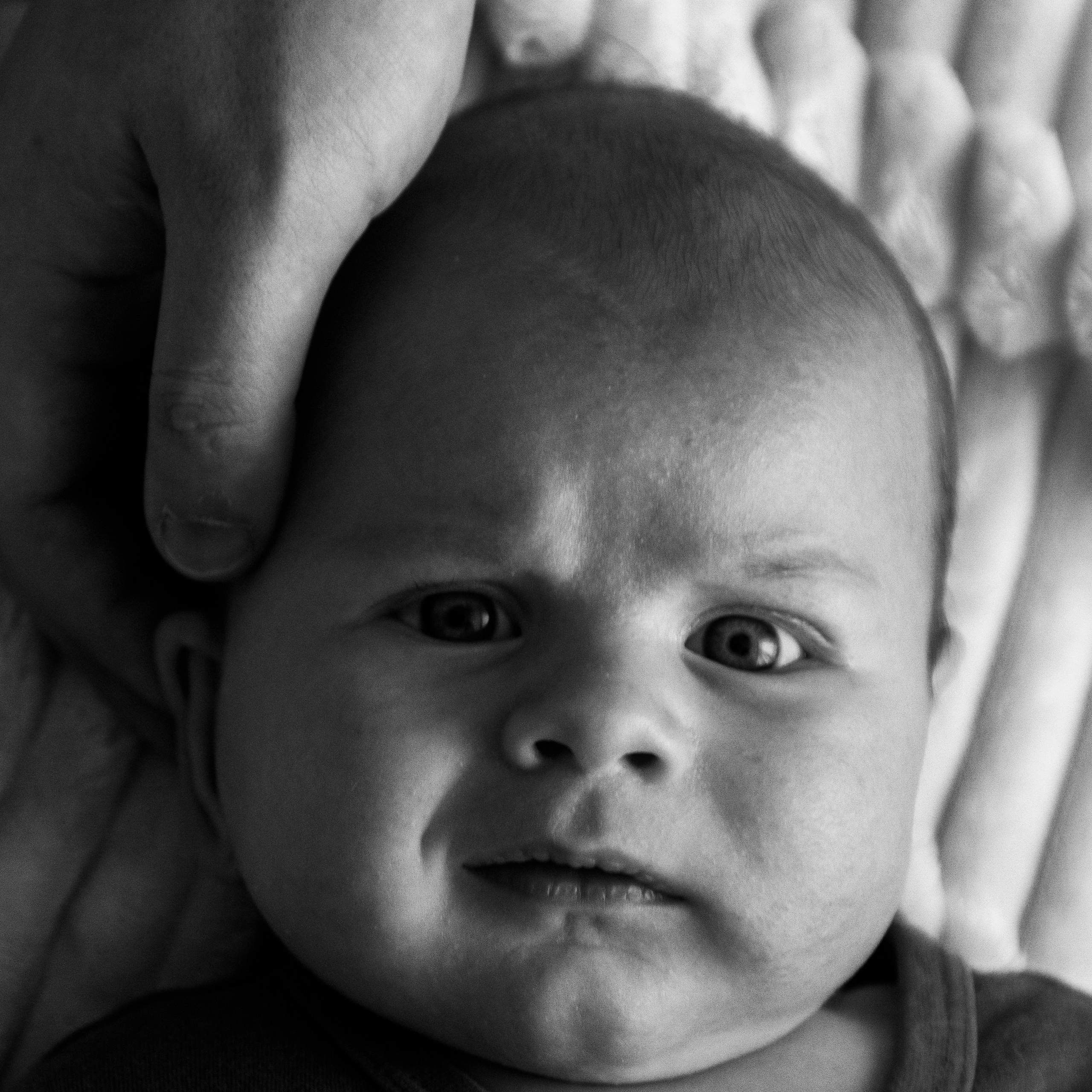 Мама Алина, Папа Егор и Тимофей. Семейный и детский фотограф в Нижнем Новгороде Мичурова Ксения