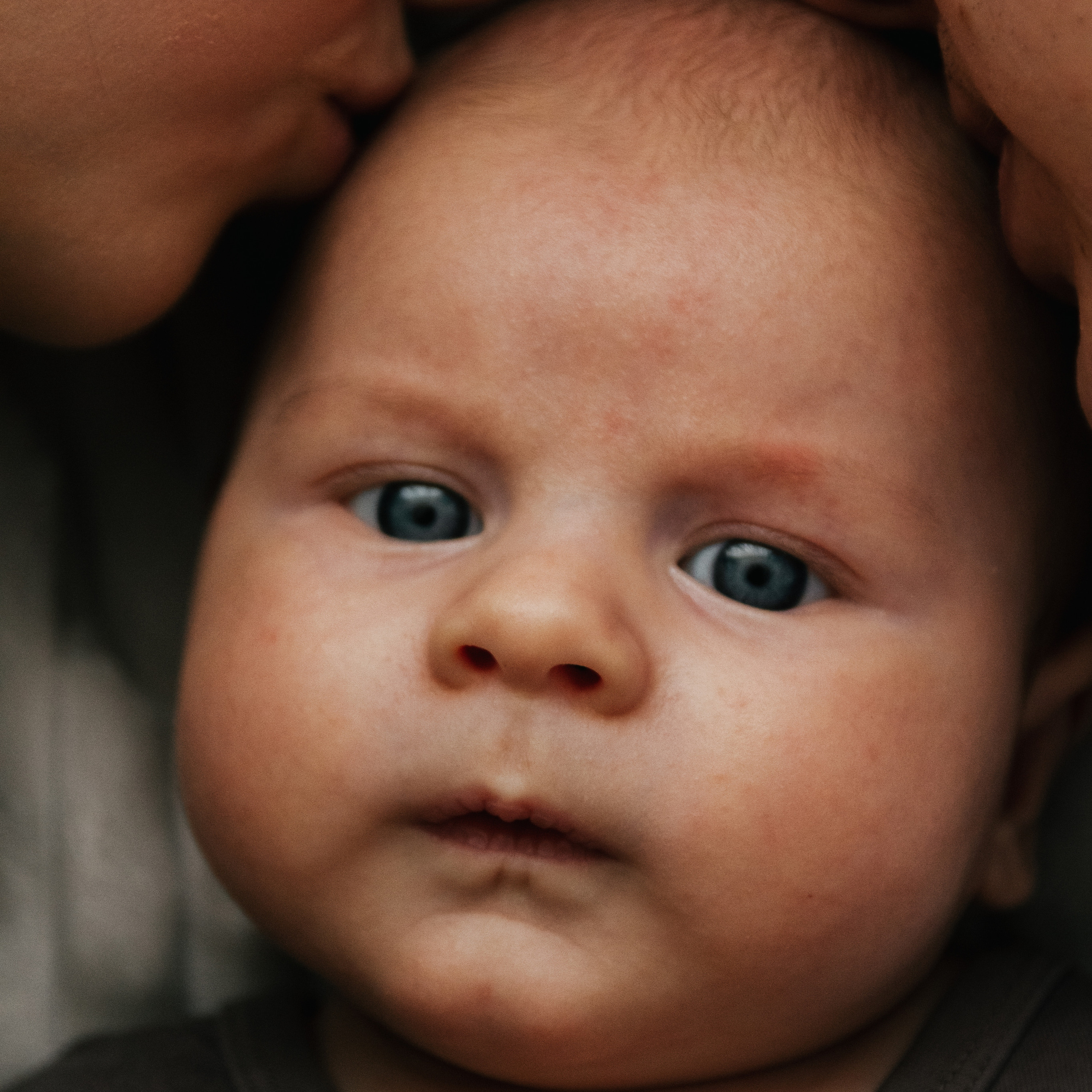 Мама Алина, Папа Егор и Тимофей. Семейный и детский фотограф в Нижнем Новгороде Мичурова Ксения