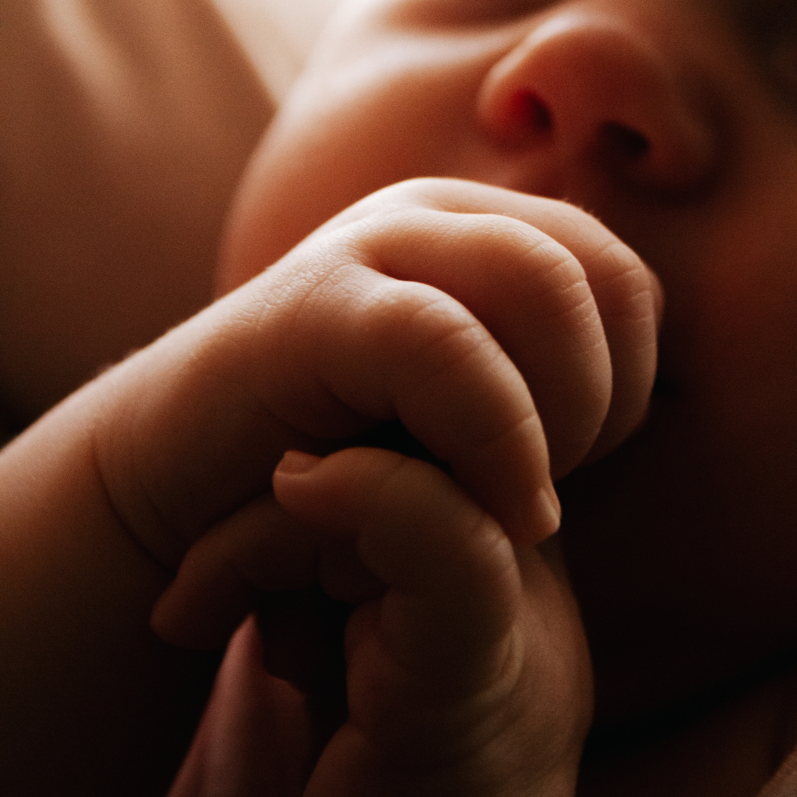 3+1=4. Семейный и детский фотограф в Нижнем Новгороде Мичурова Ксения