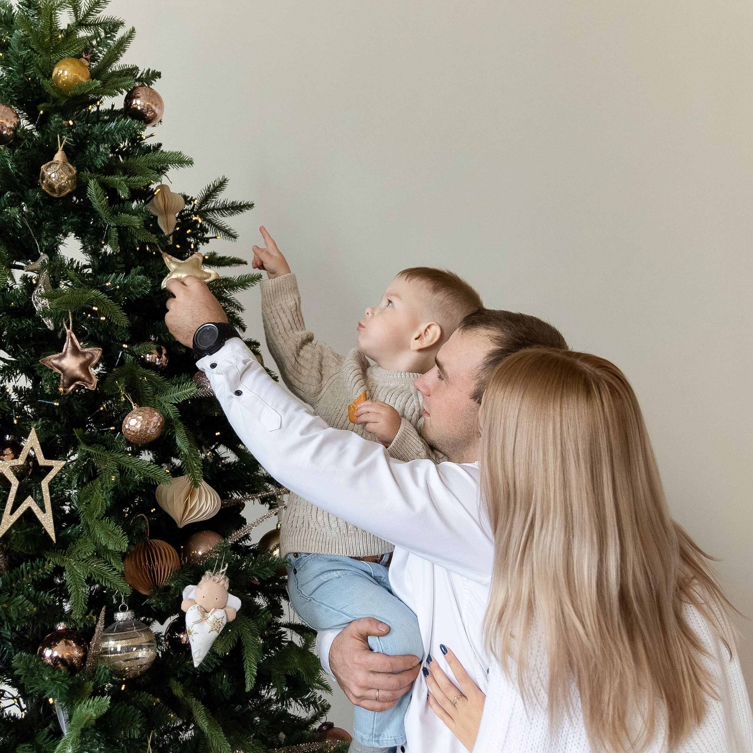 Новый год в scandi