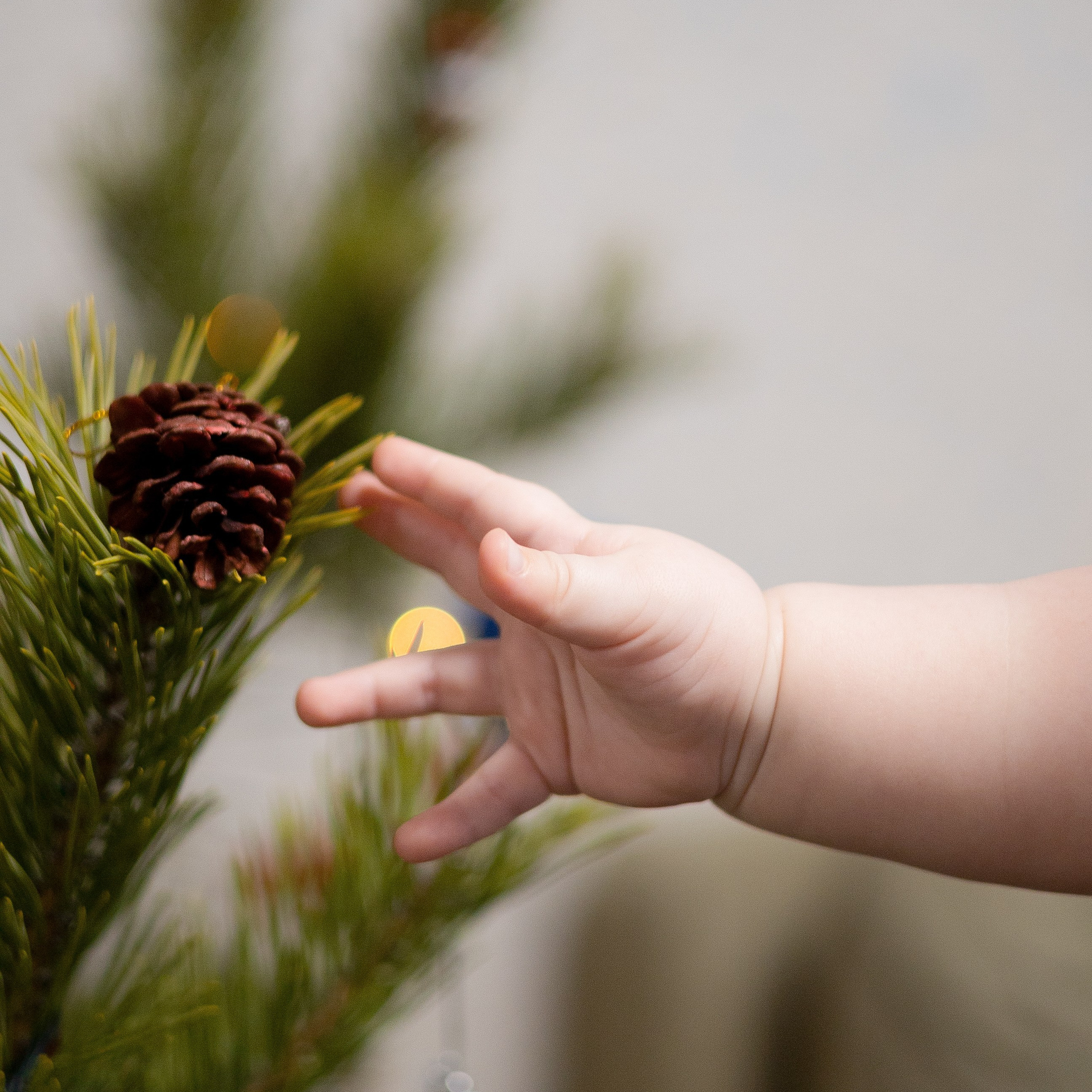 Отзывы. Семейный и свадебный фотограф в Южноуральске Екатерина Столярова