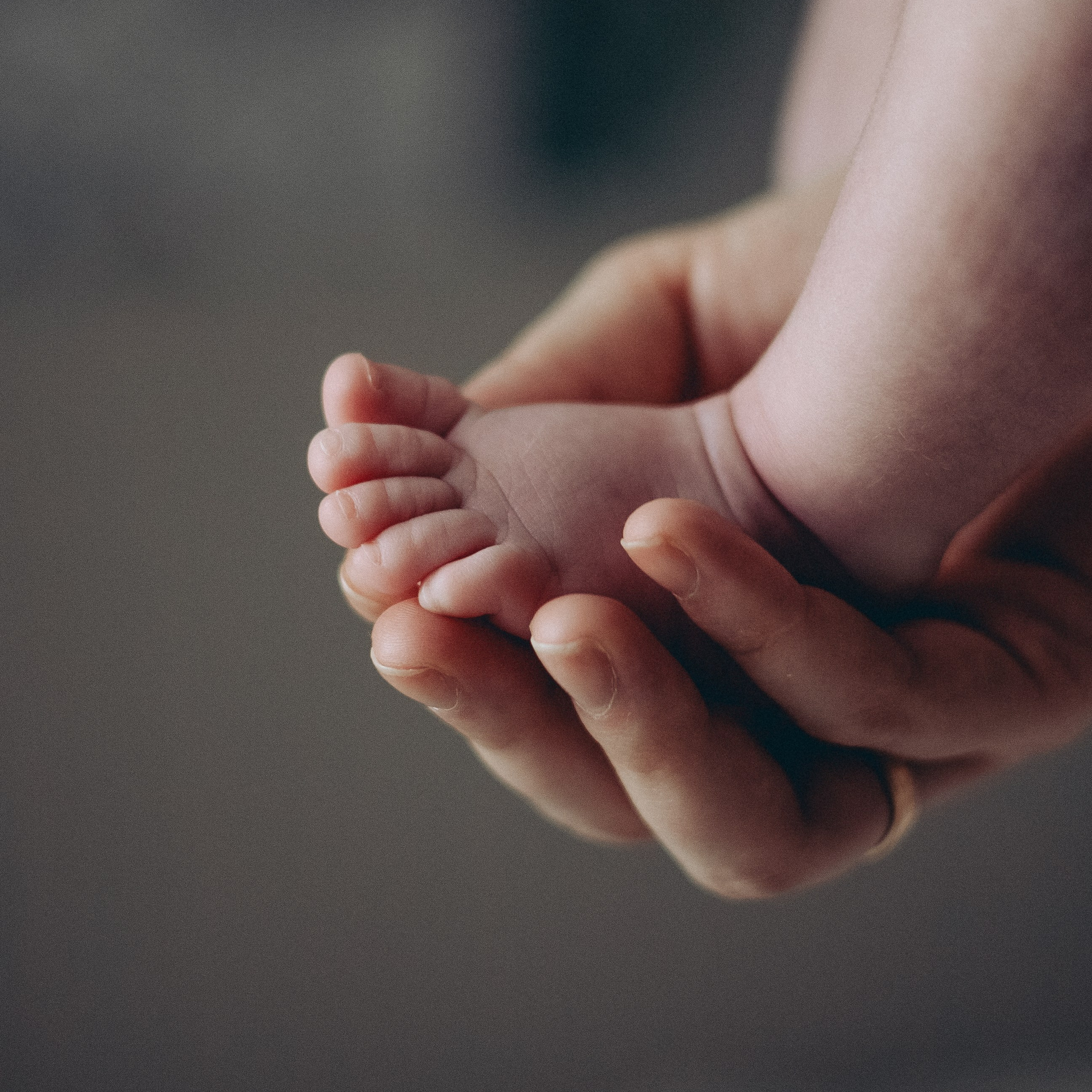 Семейный и свадебный фотограф в Южноуральске Екатерина Столярова