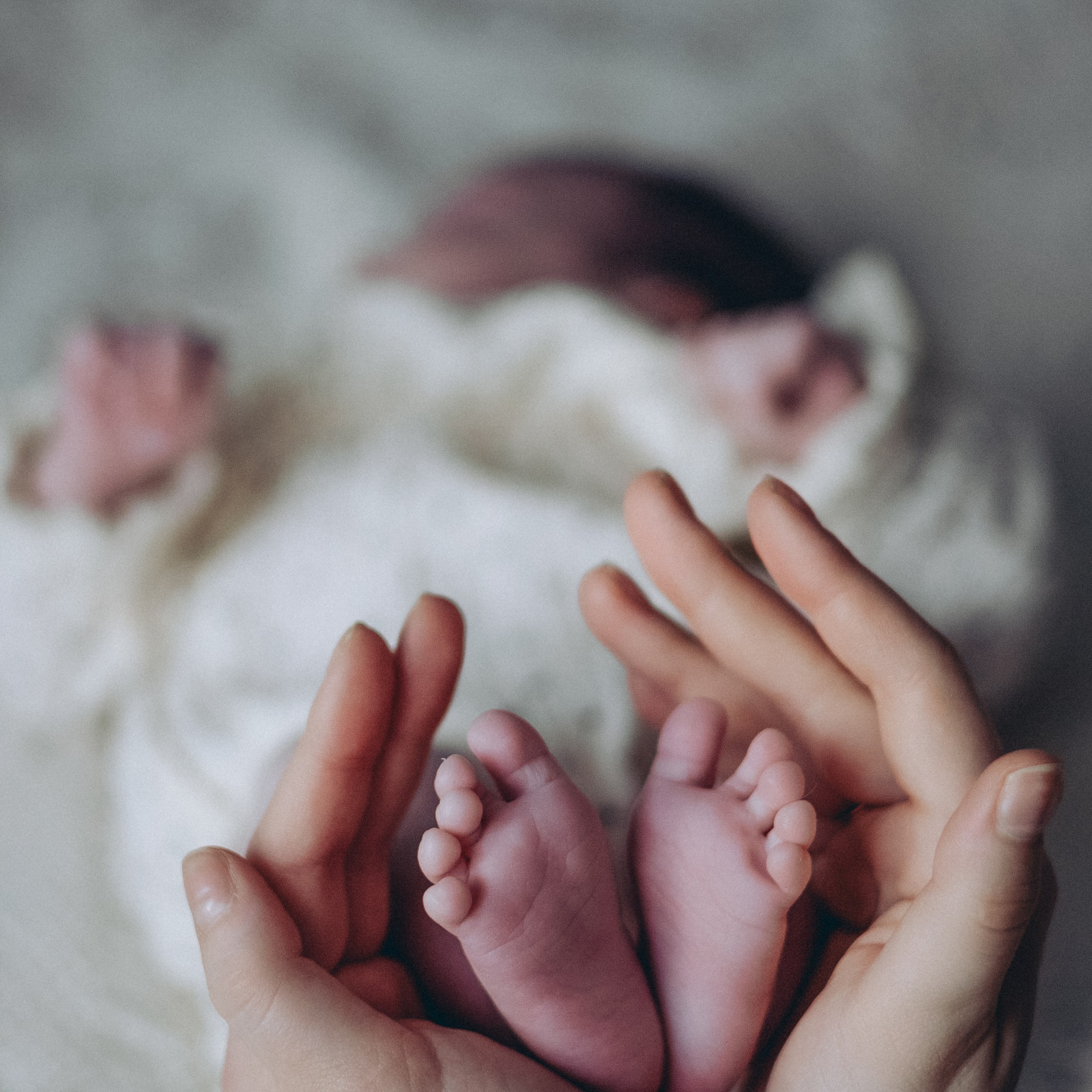 Отзывы. Семейный и свадебный фотограф в Южноуральске Екатерина Столярова