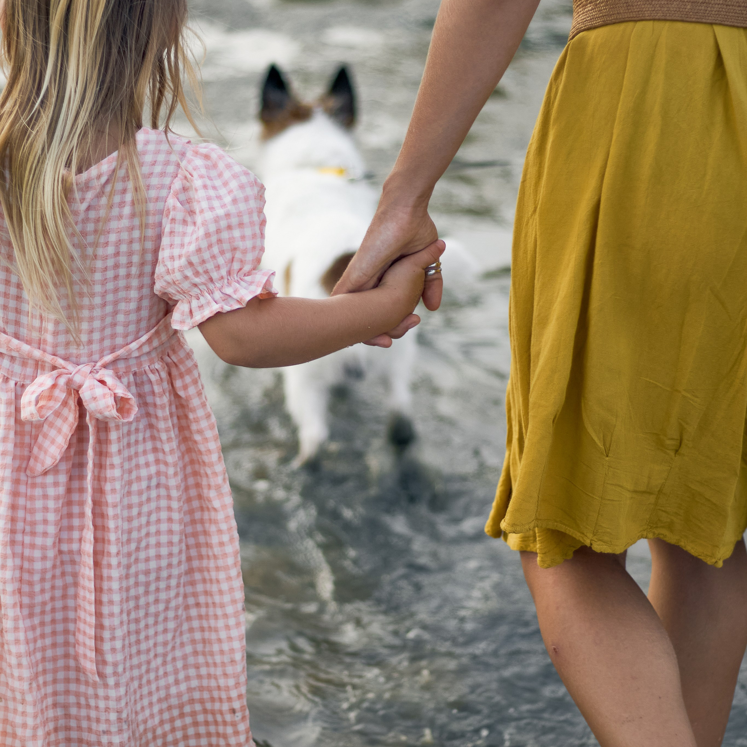 Вечерняя прогулка по пляжу с Джерри