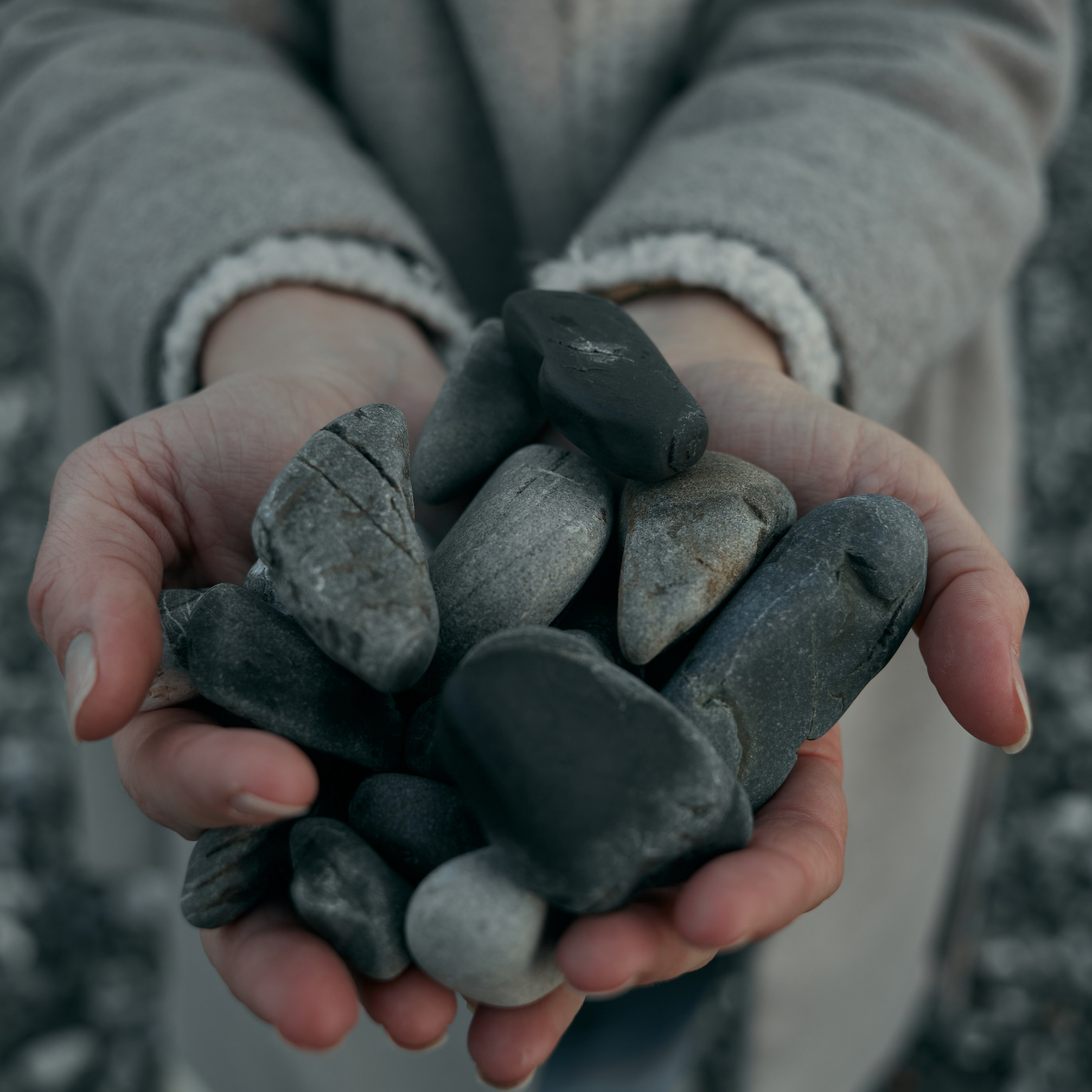 Виолетта. Прогулка у Черного моря