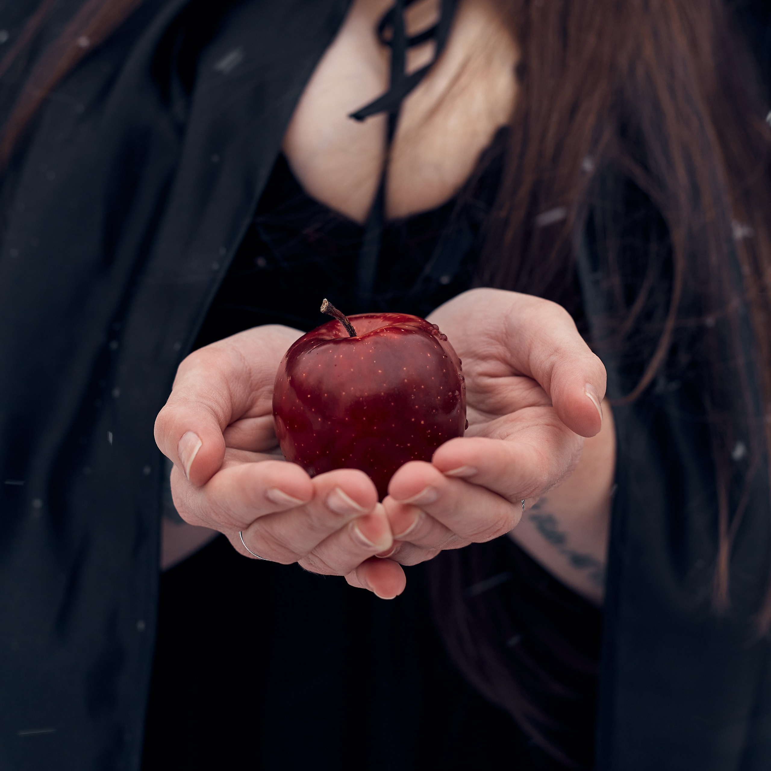 Кристина. Чёртов мост