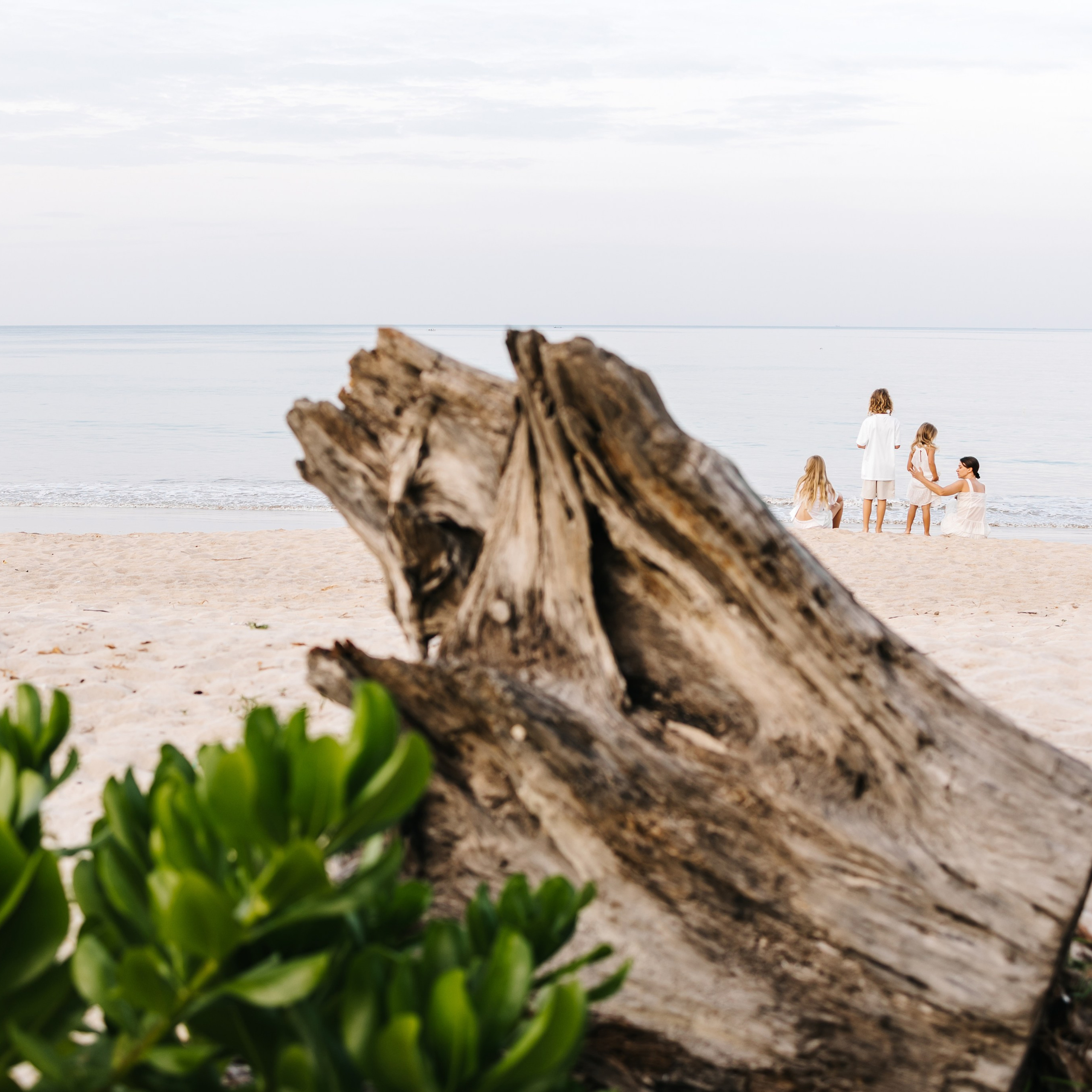 About family from Thailand