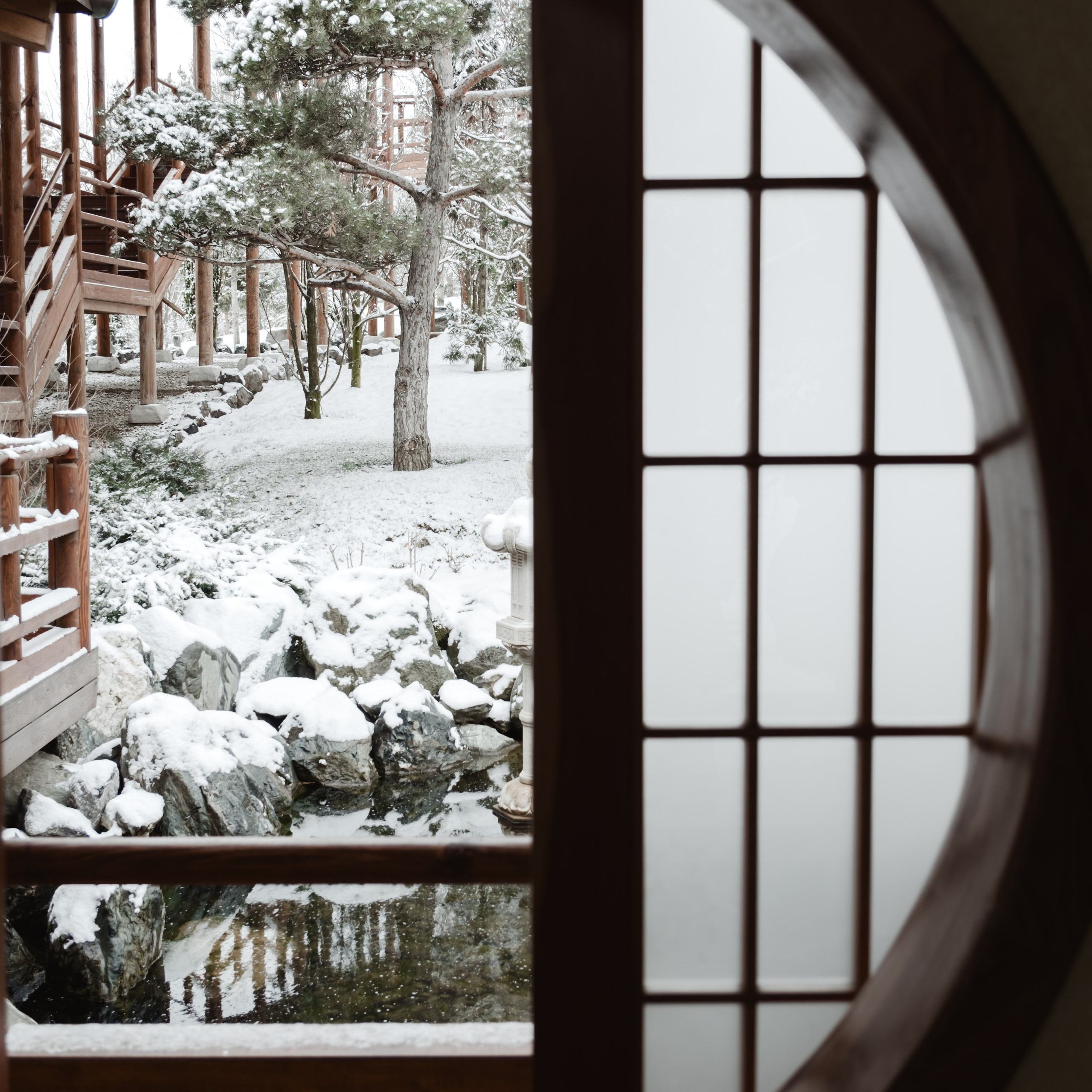 Japanese Garden in Krasnodar
