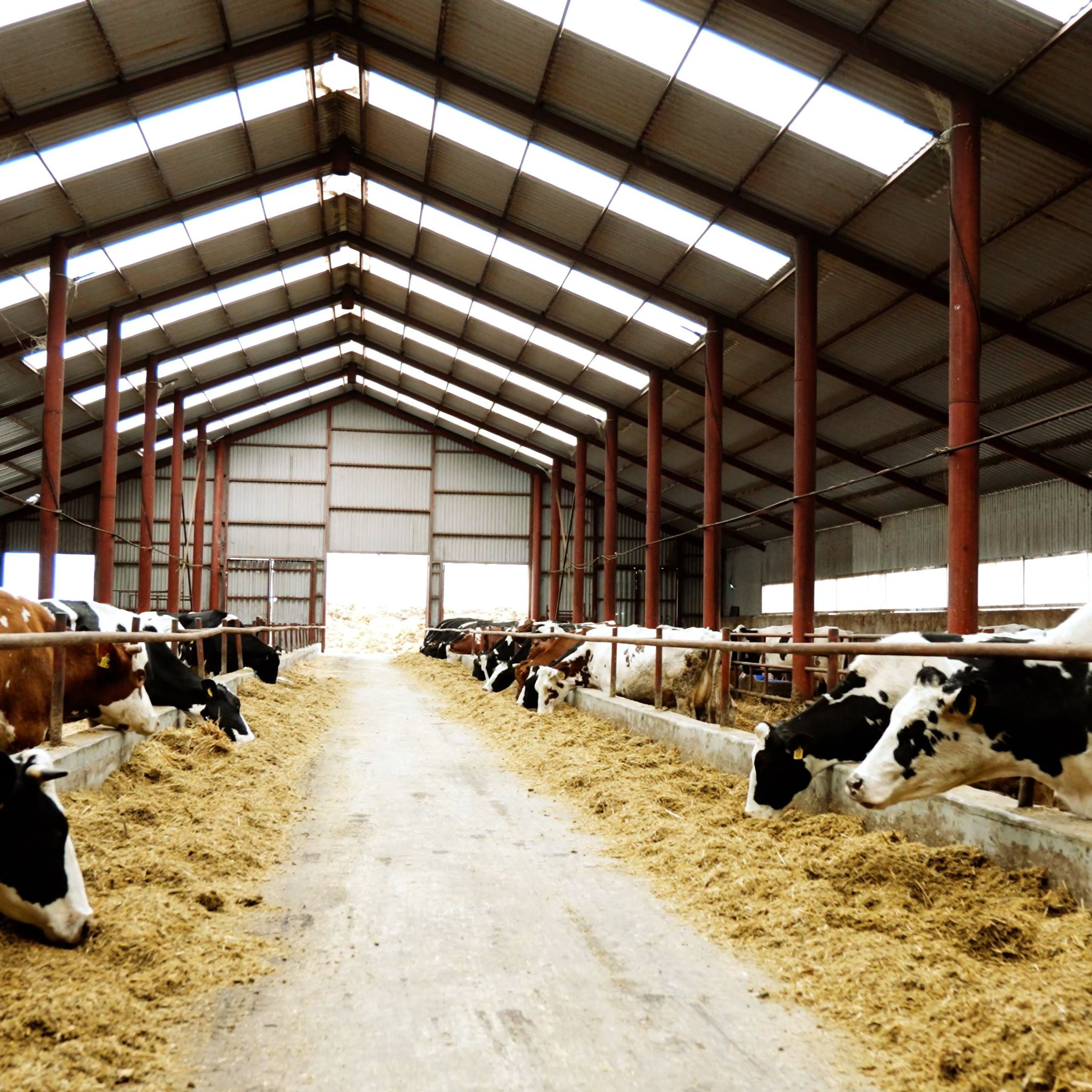 «KOBLIK Group». Фотограф и видеограф Максим Карпов Воронеж