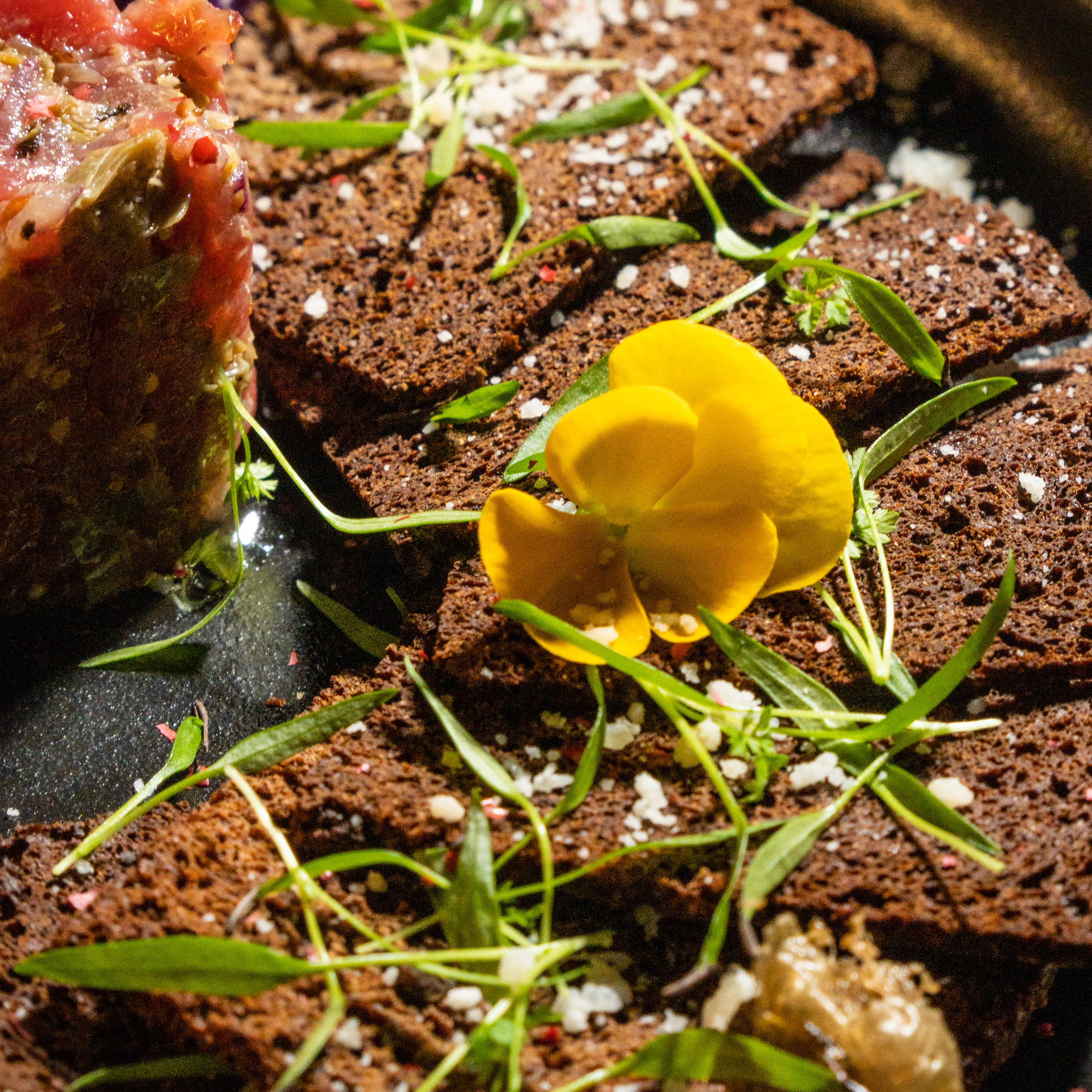 Mishka bar. Видеосъемка для бизнеса Воронеж