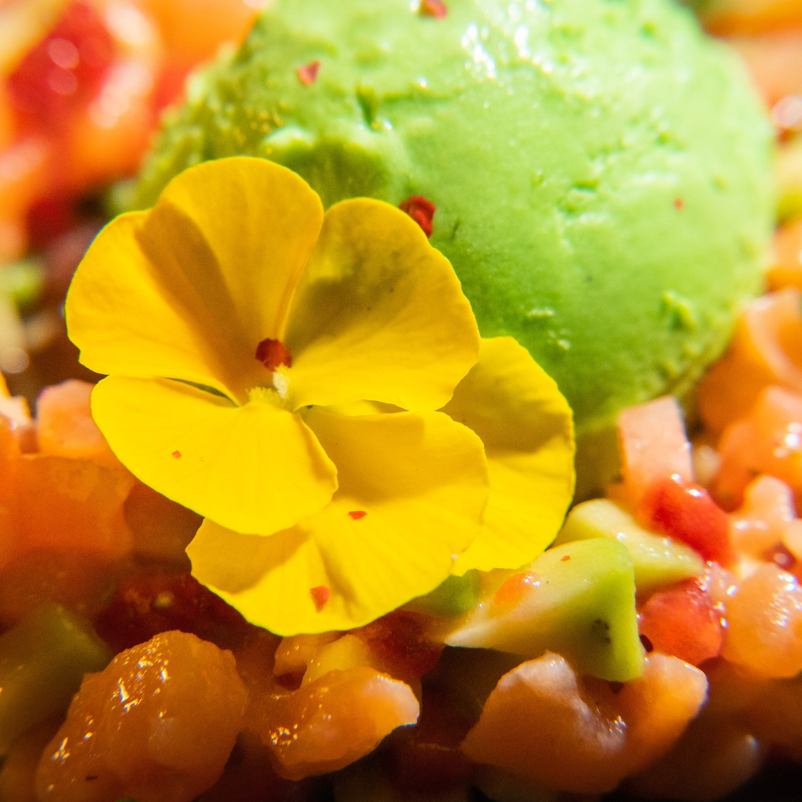 Mishka bar. Видеосъемка для бизнеса Воронеж