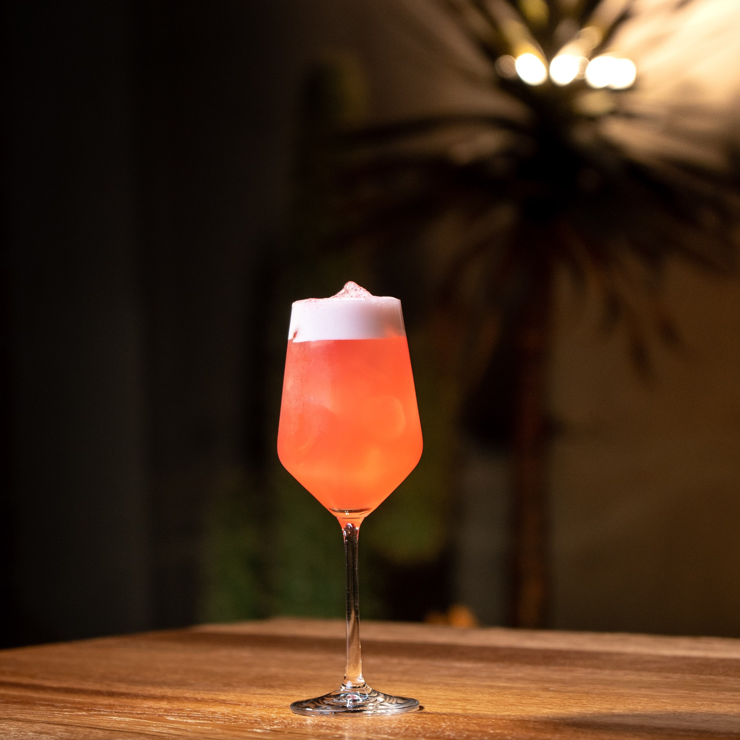 Yucca bar. Видеосъемка для бизнеса Воронеж