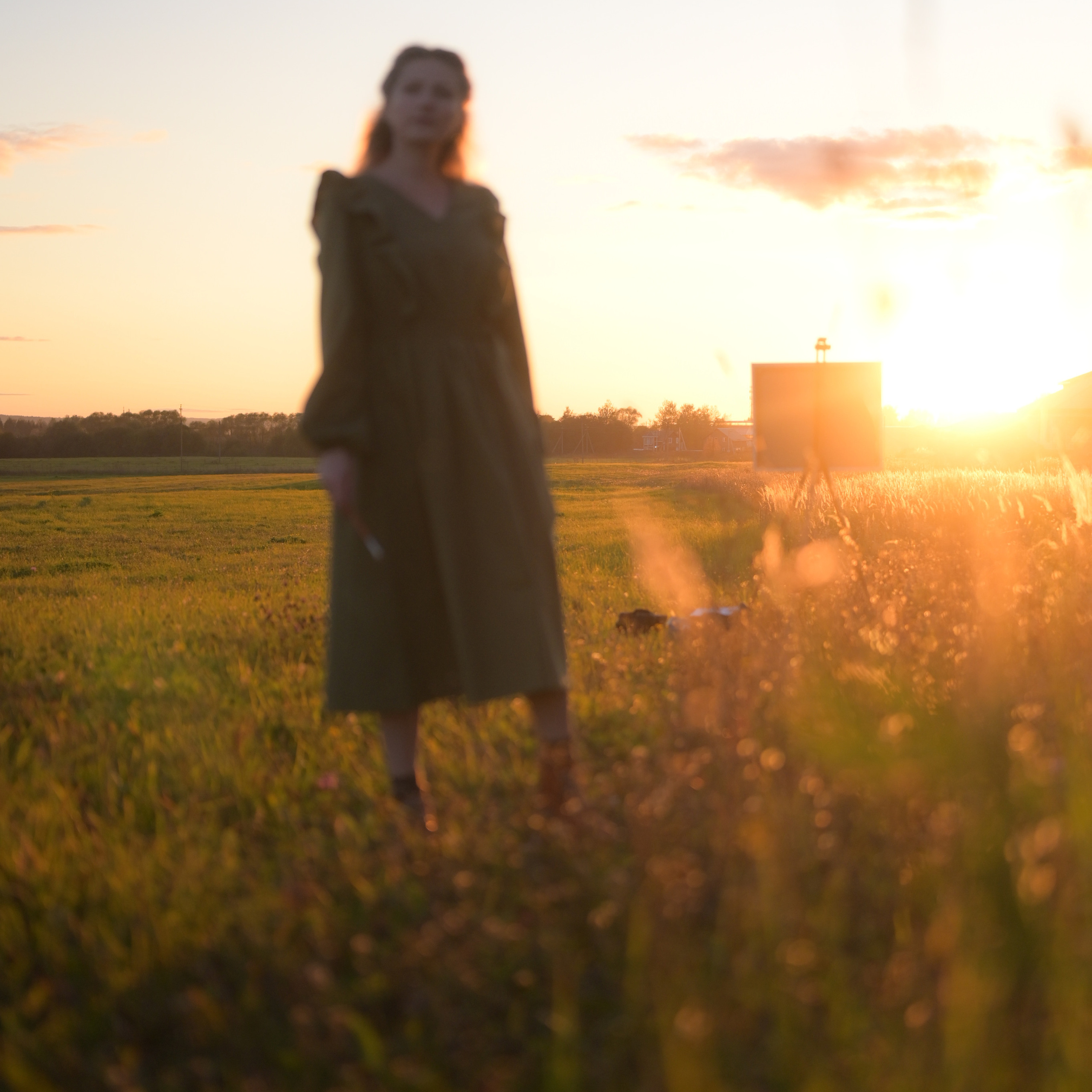 Отзывы. Фотограф в Переславле-Залесском Алексей Погосов