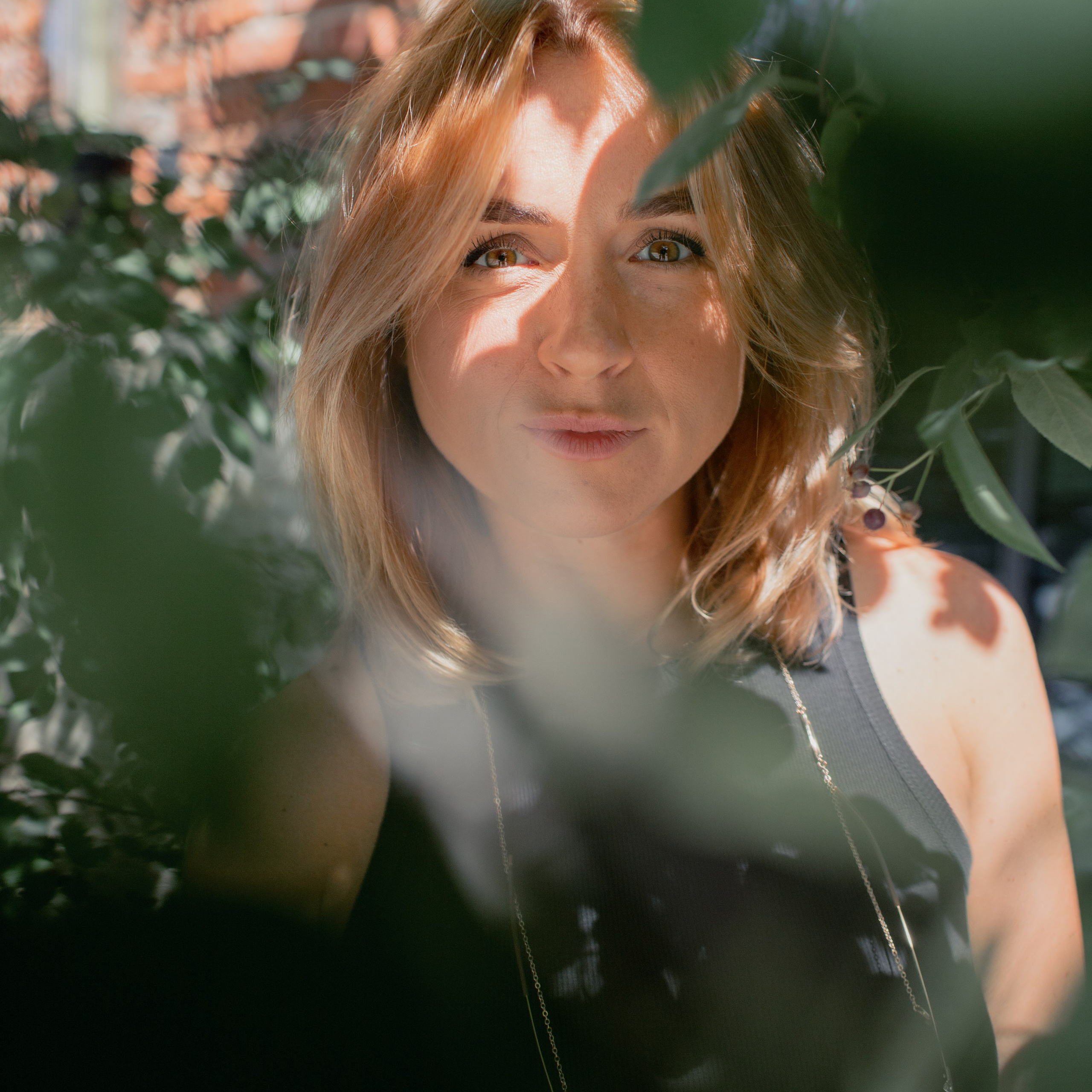 Новая Голландия