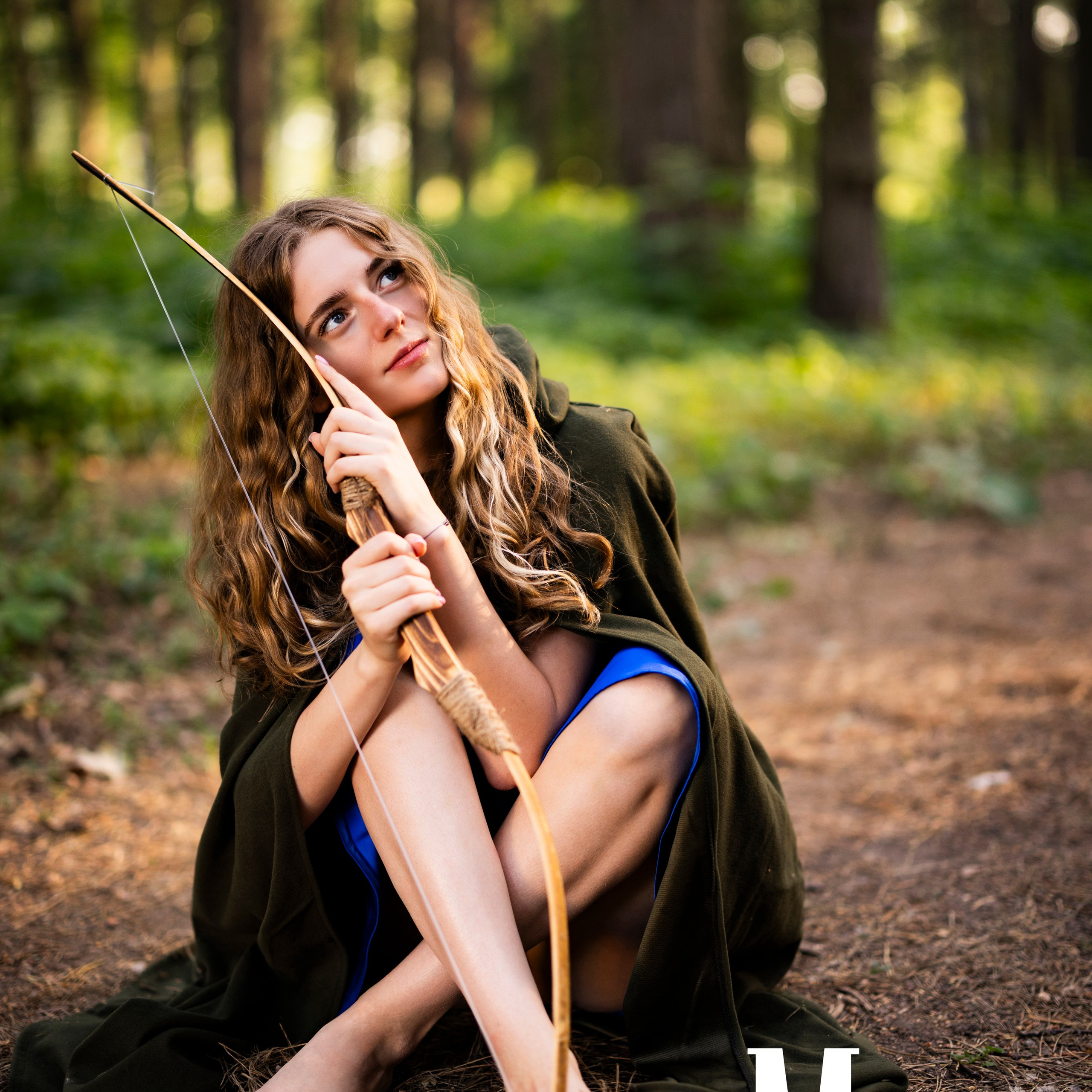 «Четыре сезона Робин Гуда»