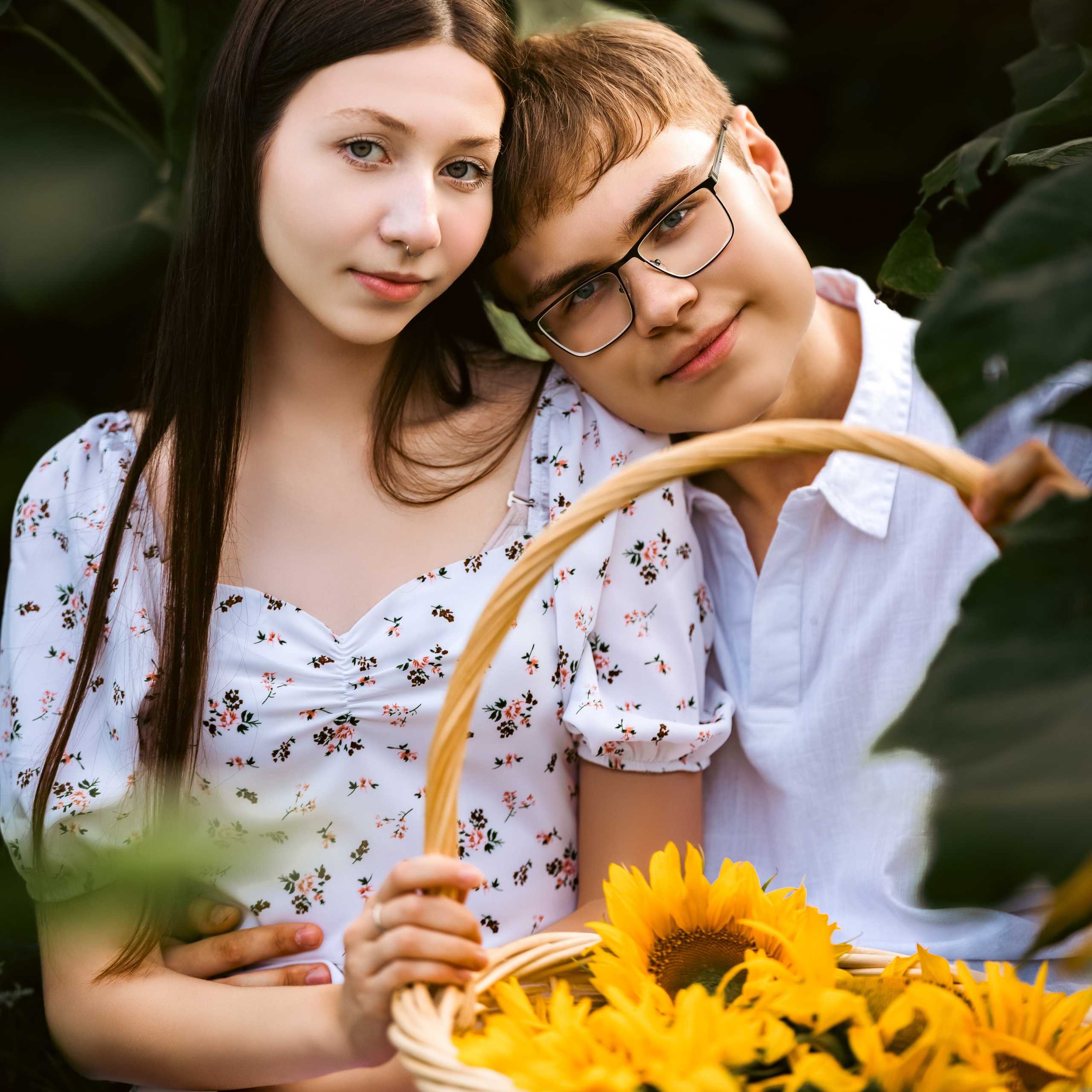 Подсолнухи