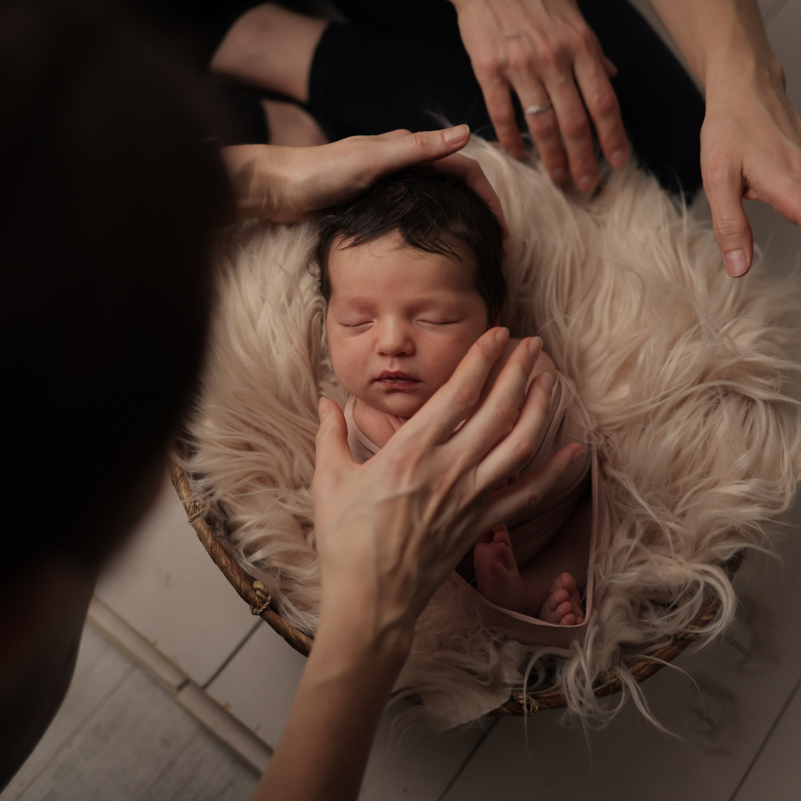 Отзывы. Фотограф Елена Зуйкова